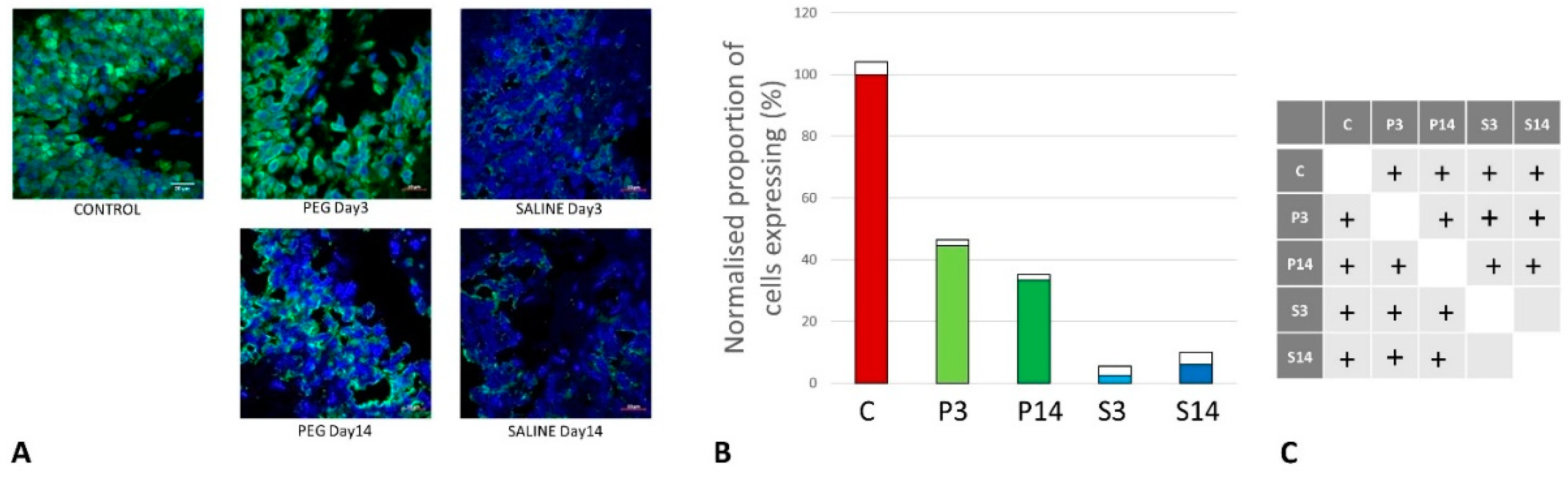 Preprints 141748 g004