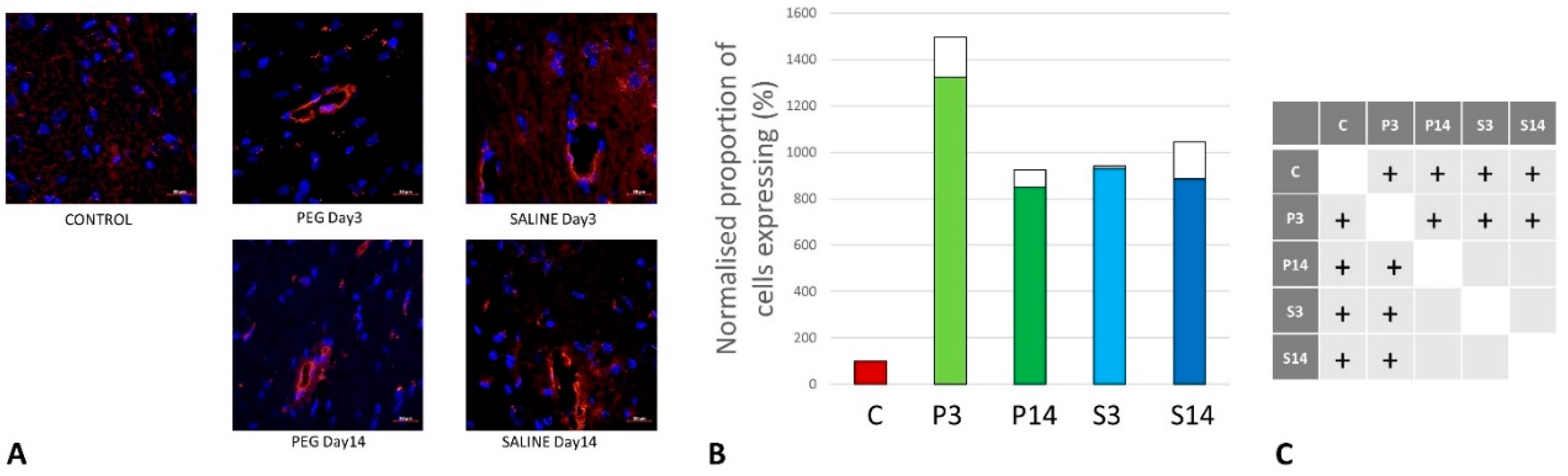 Preprints 141748 g006