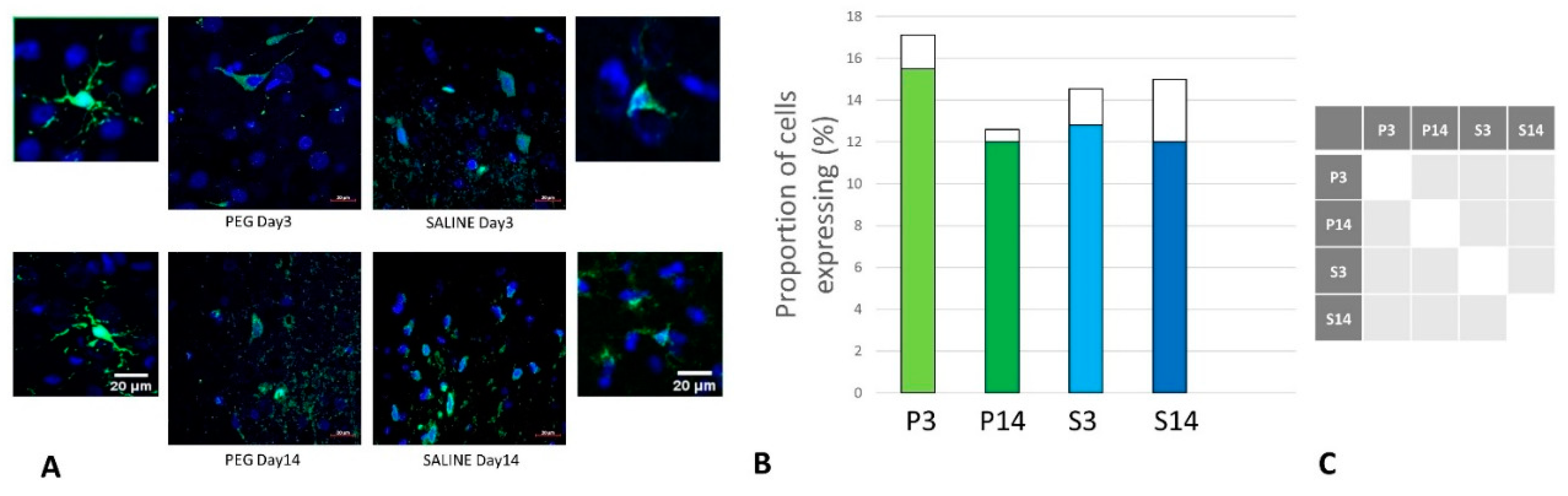Preprints 141748 g007