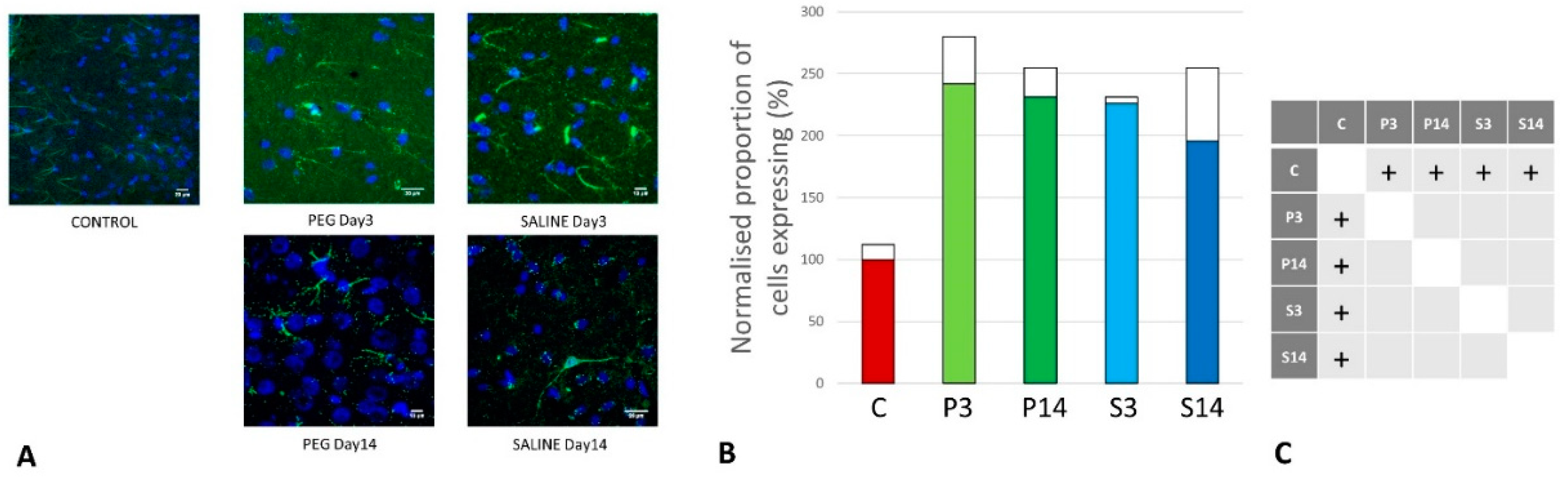 Preprints 141748 g008