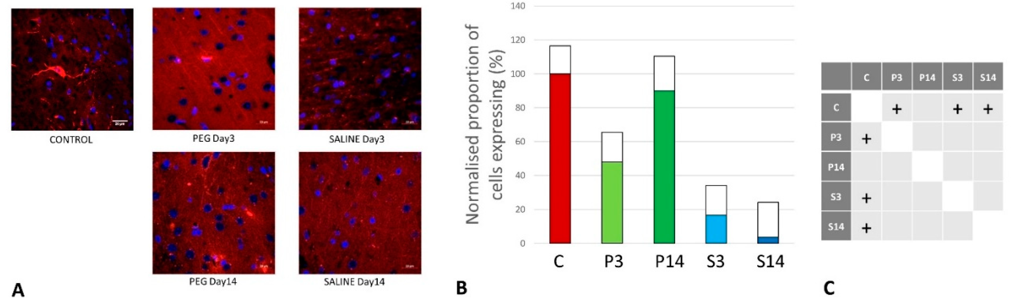 Preprints 141748 g010