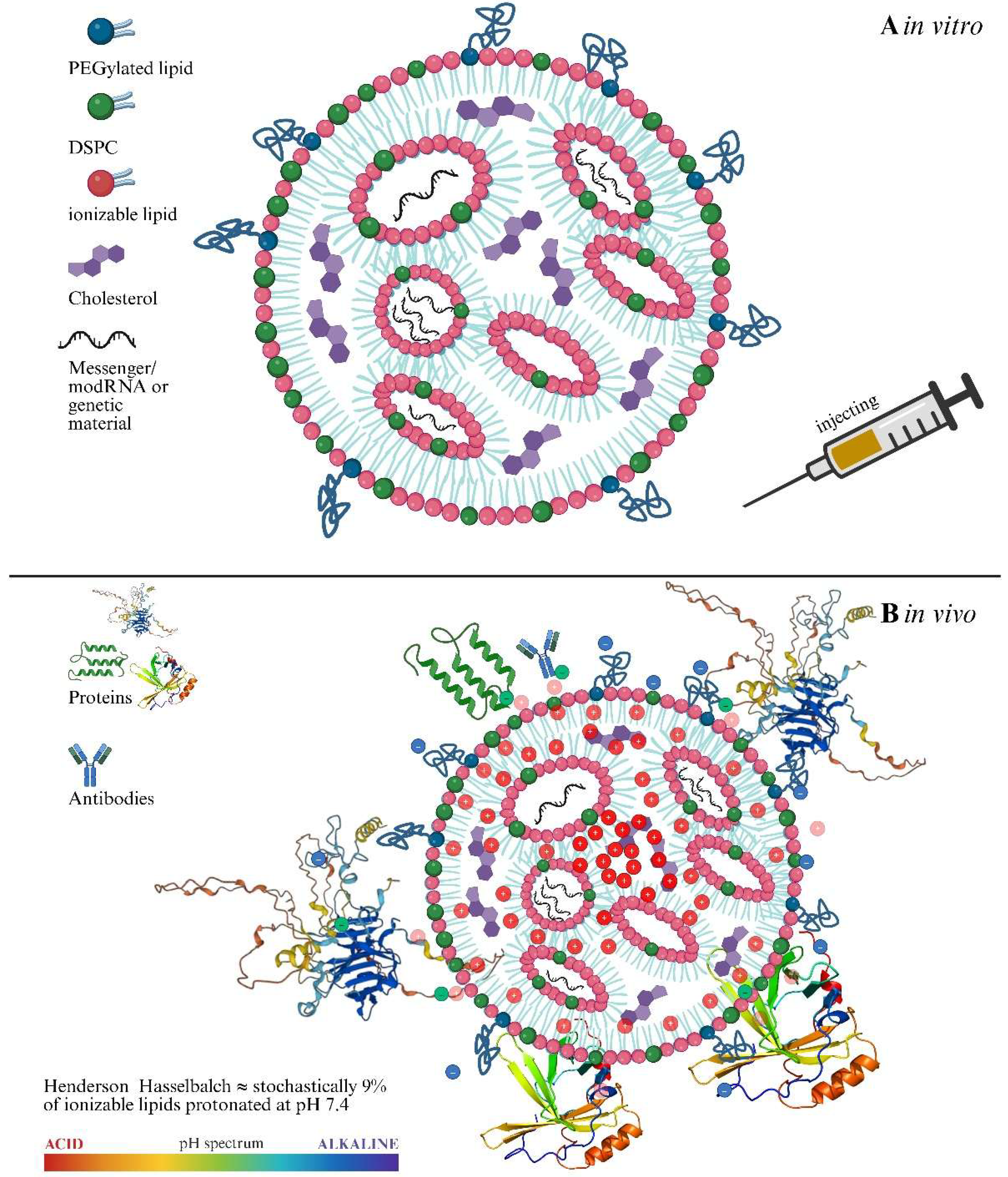 mark gordon liposomal glutathione Lipid Nanoparticles as Active Biointerfaces: From Membrane Interaction to  Systemic Dysregulation[v6]