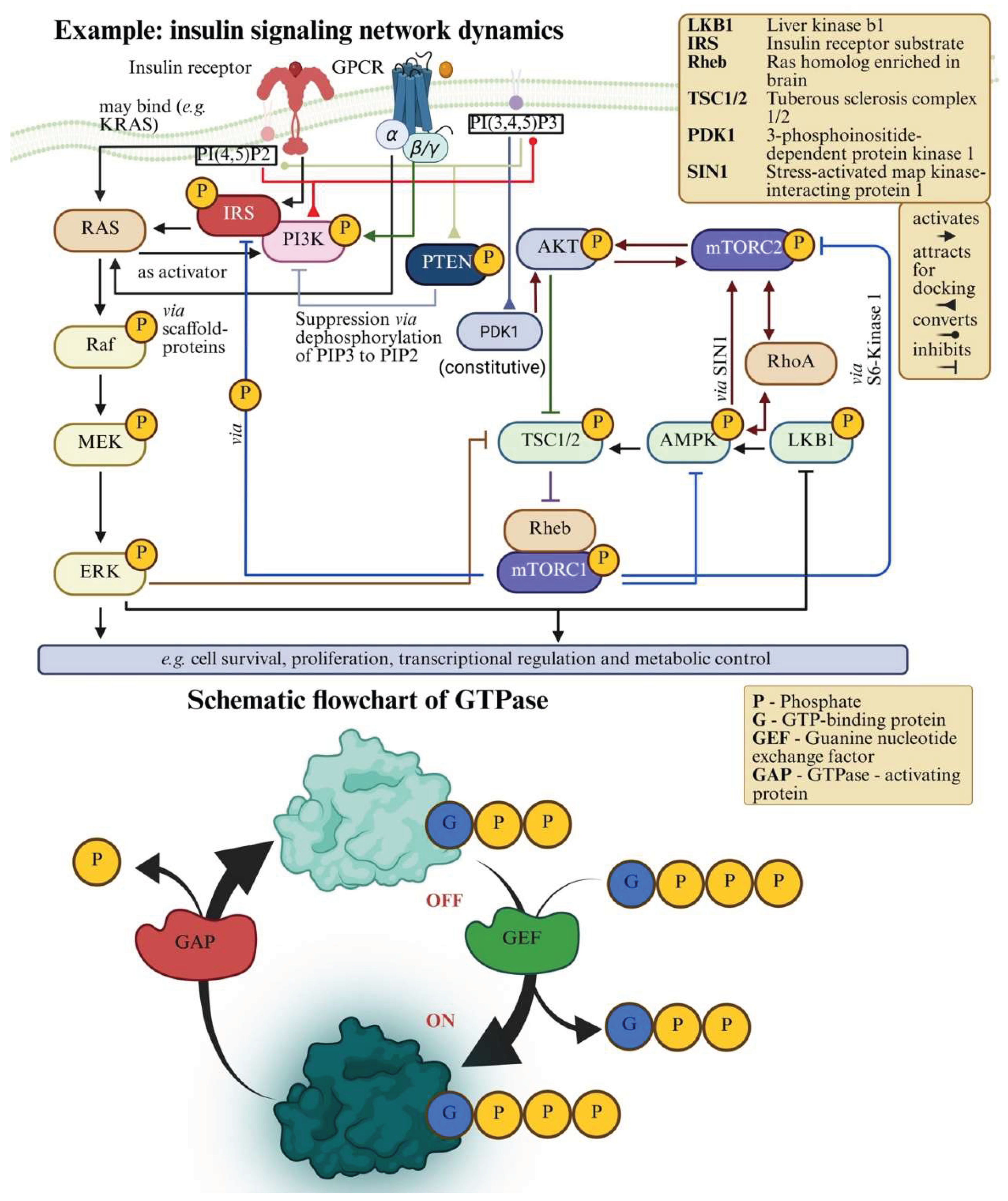 mark gordon liposomal glutathione Lipid Nanoparticles as Active Biointerfaces: From Membrane Interaction to  Systemic Dysregulation[v6]