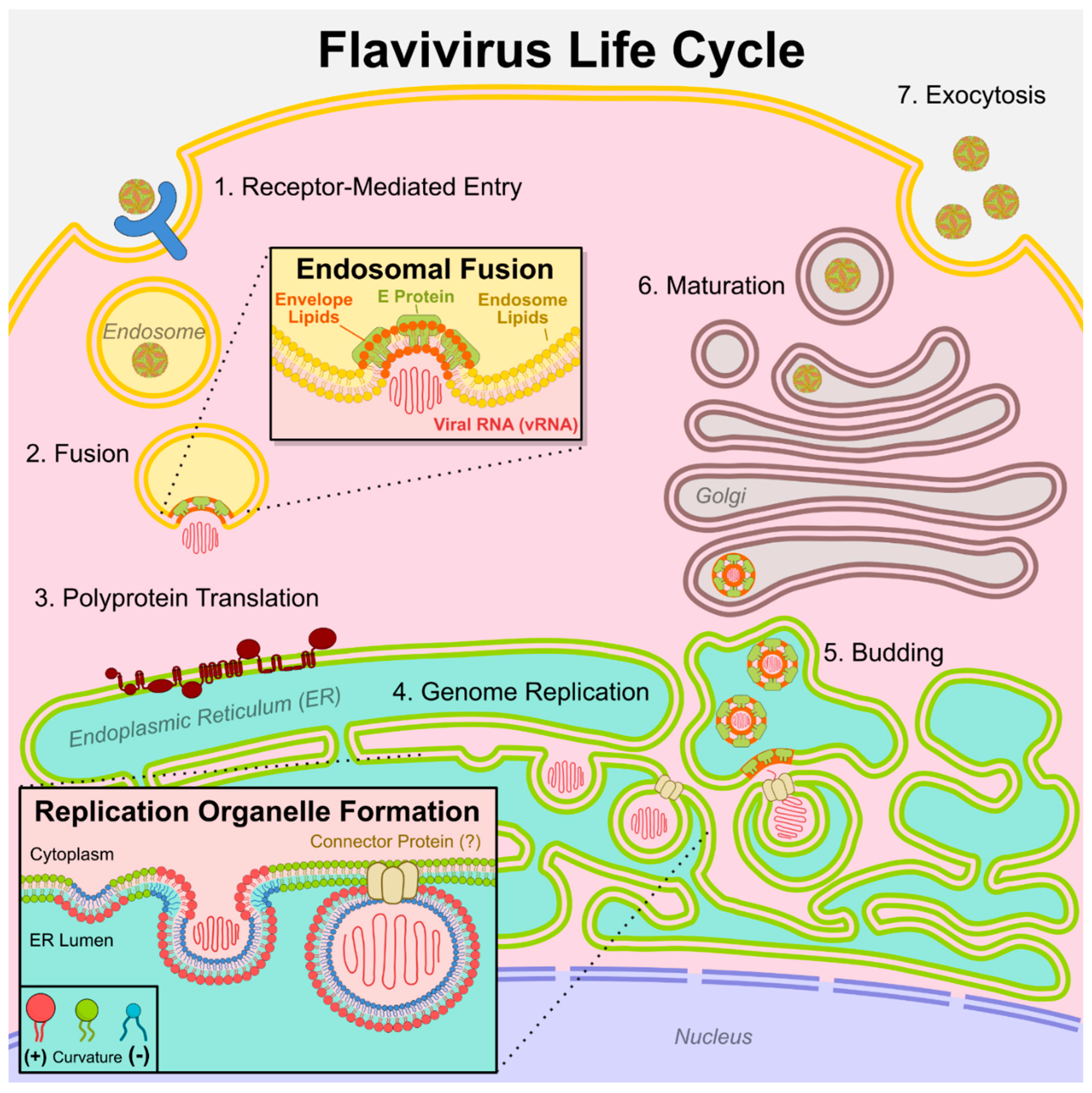 Preprints 189937 g001