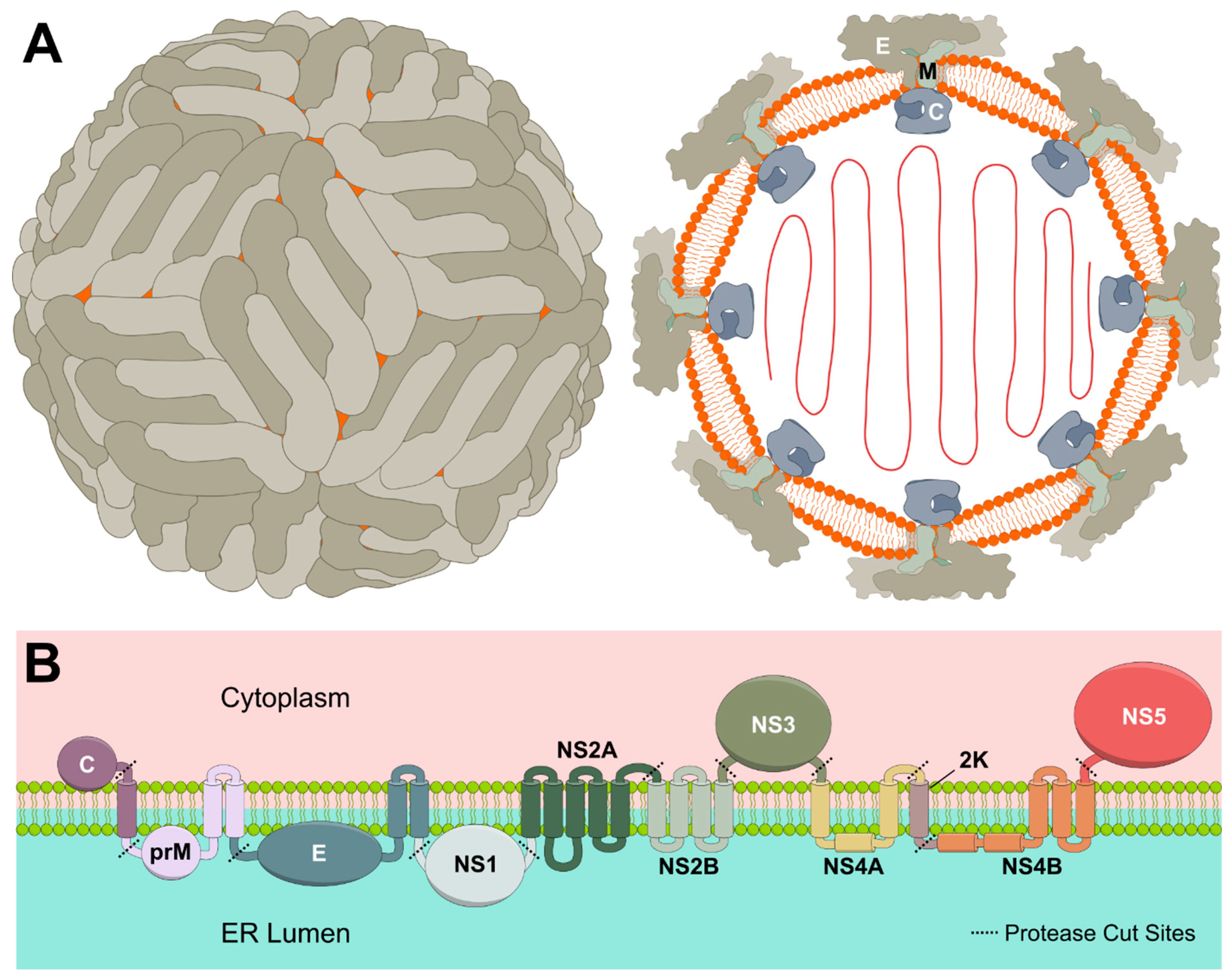 Preprints 189937 g002