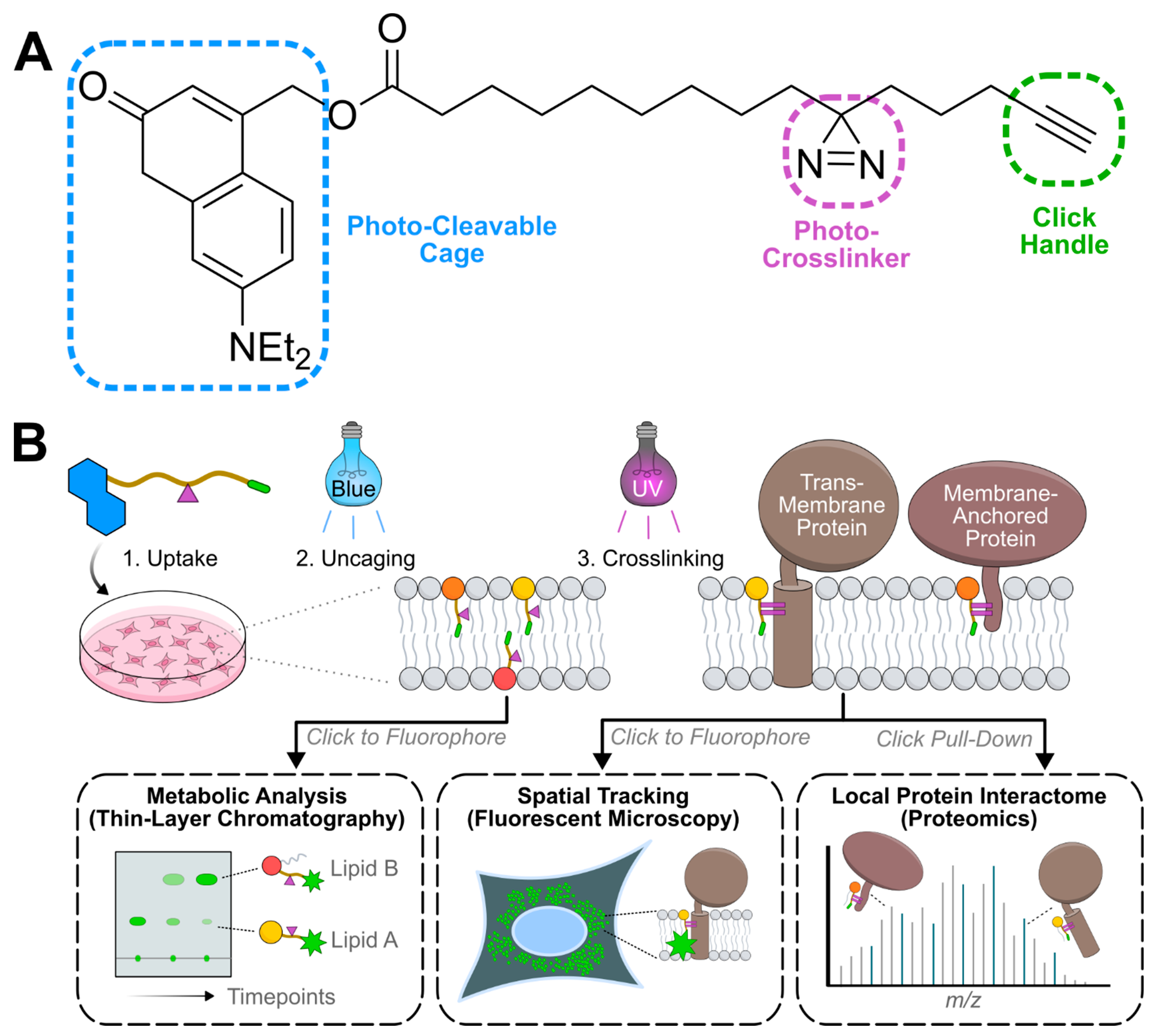 Preprints 189937 g003