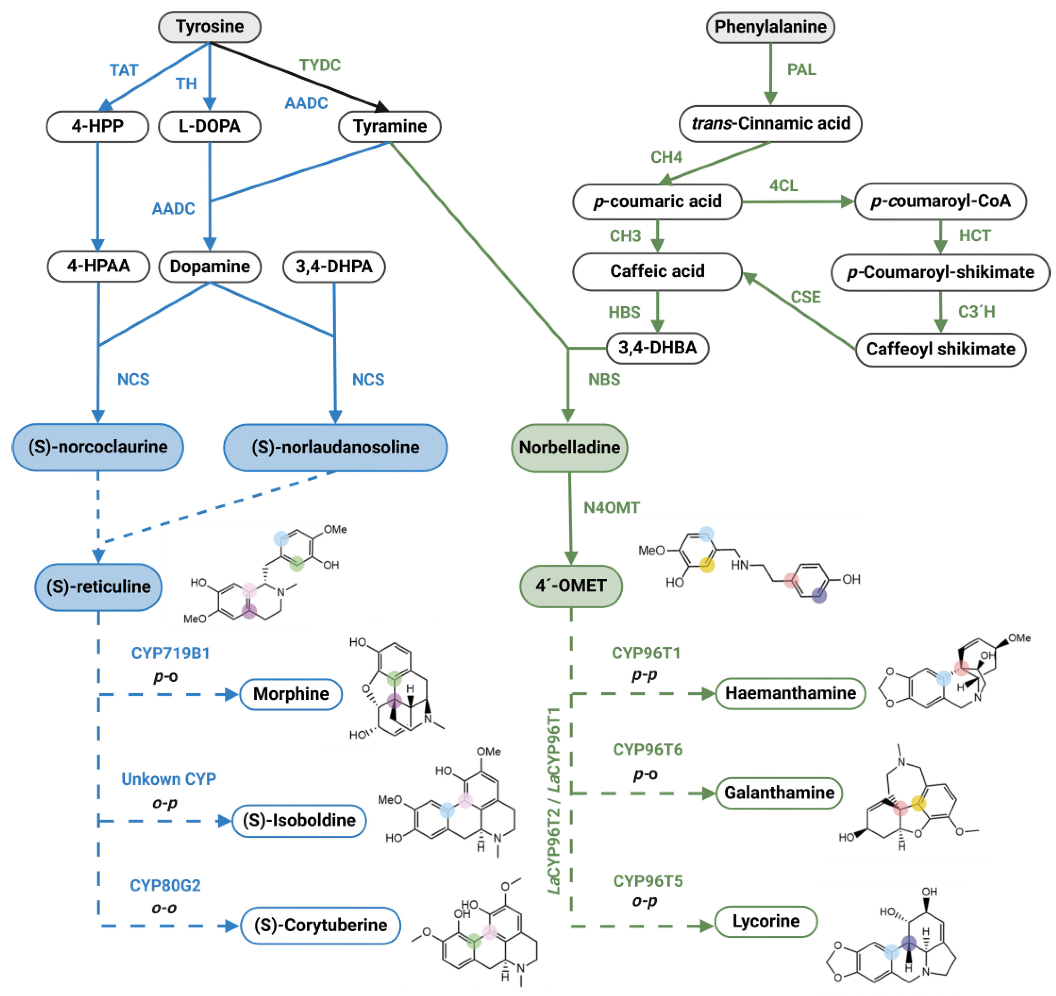 Preprints 177246 g003
