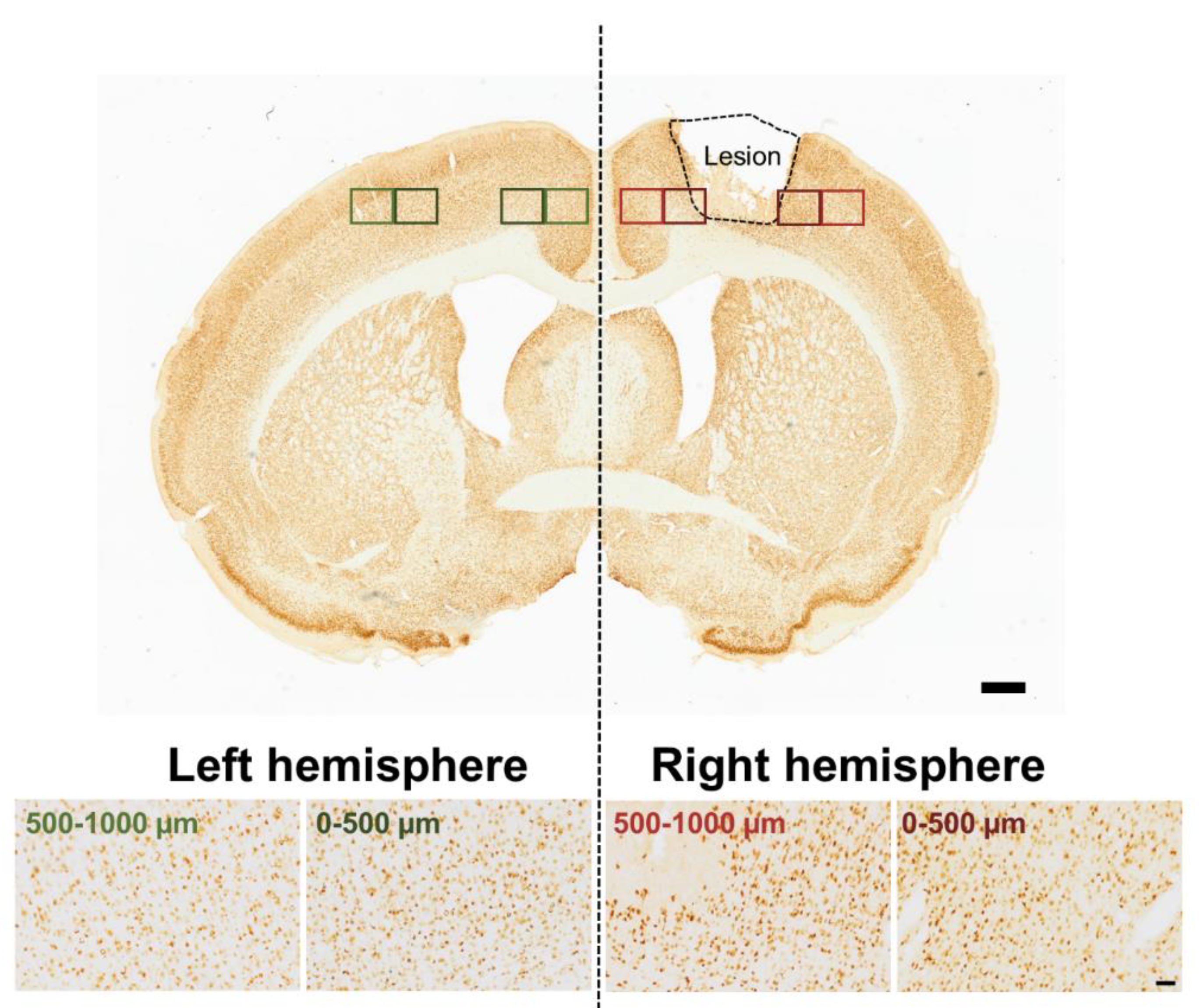 Preprints 187276 g001