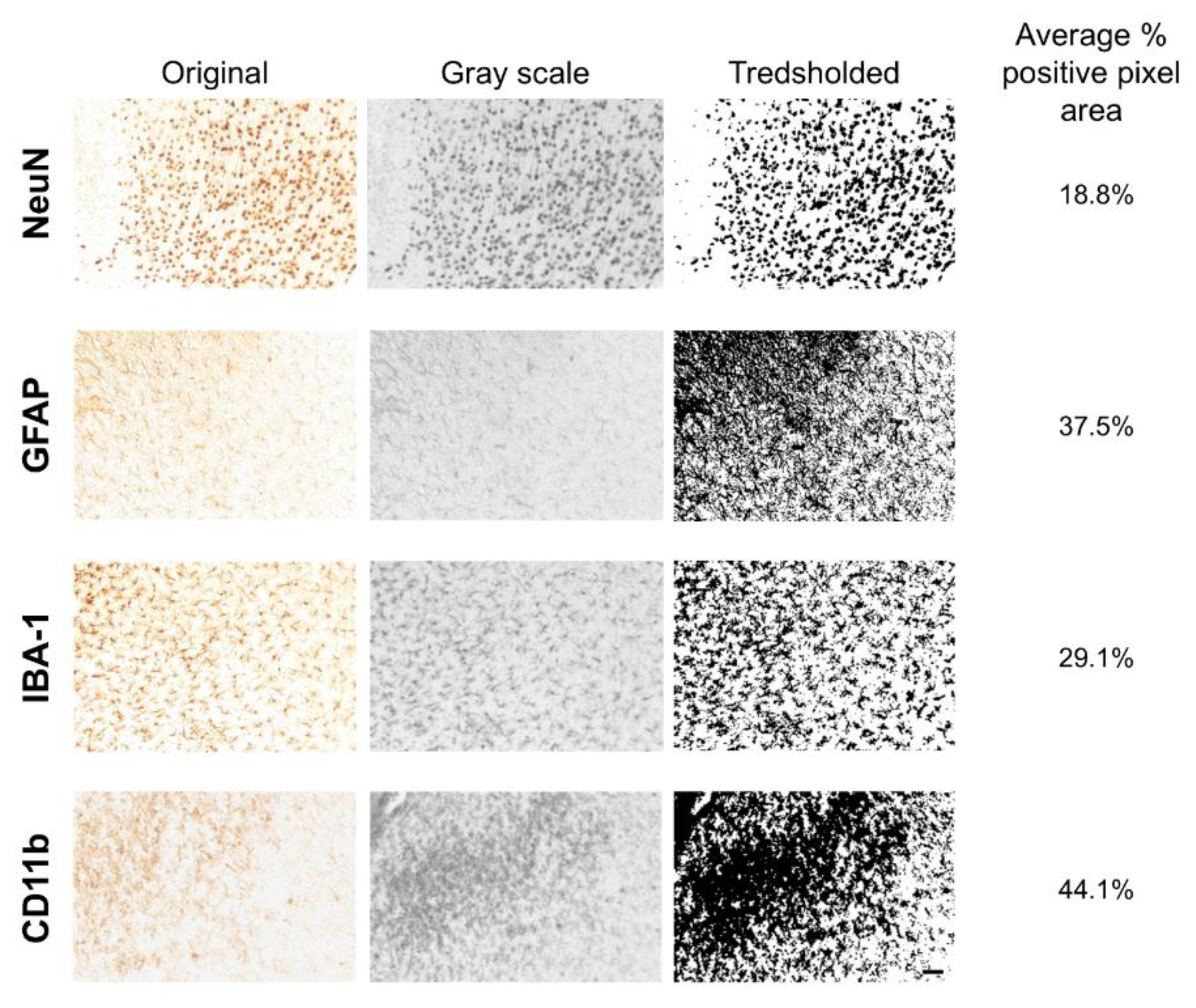 Preprints 187276 g002