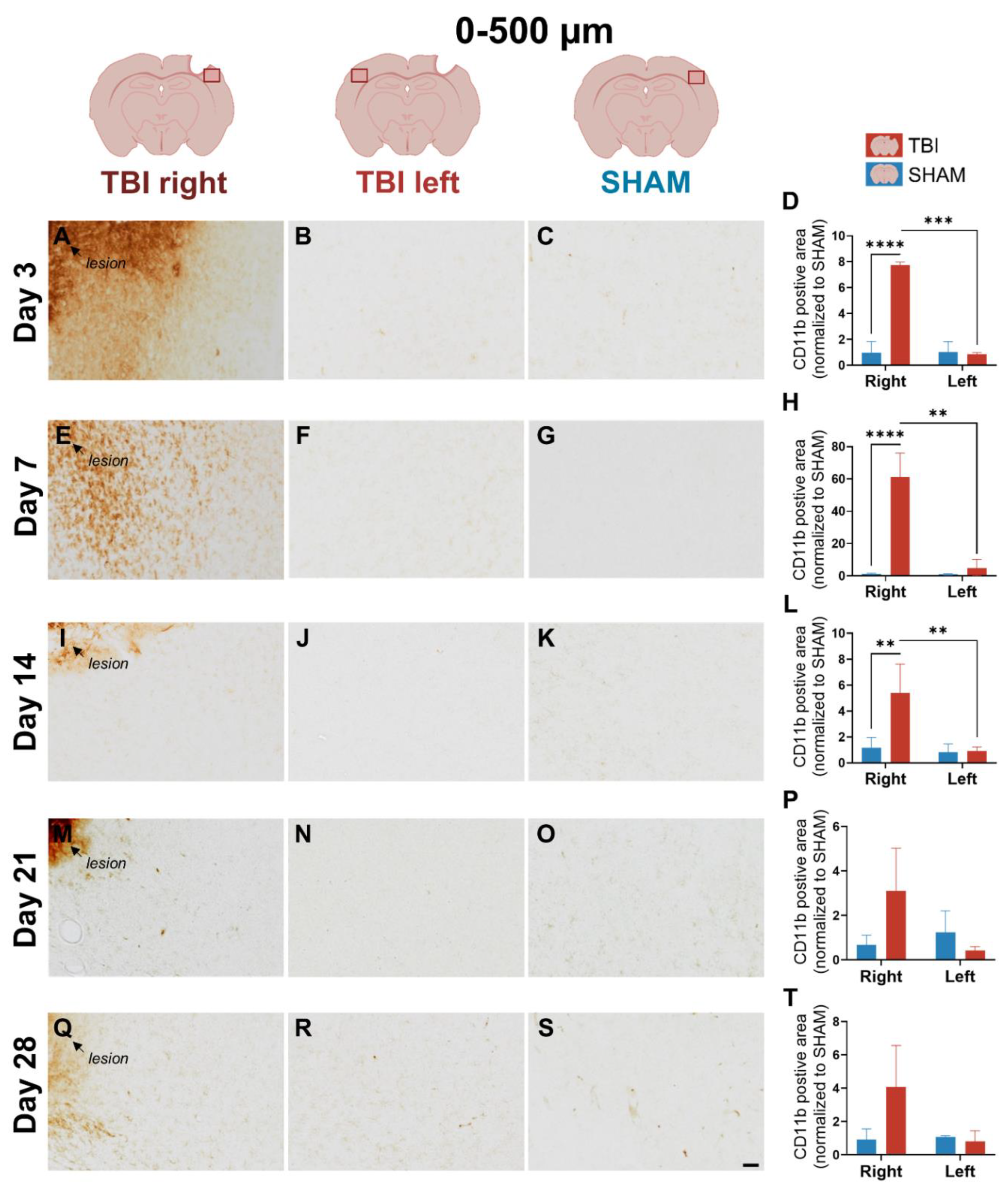 Preprints 187276 g003