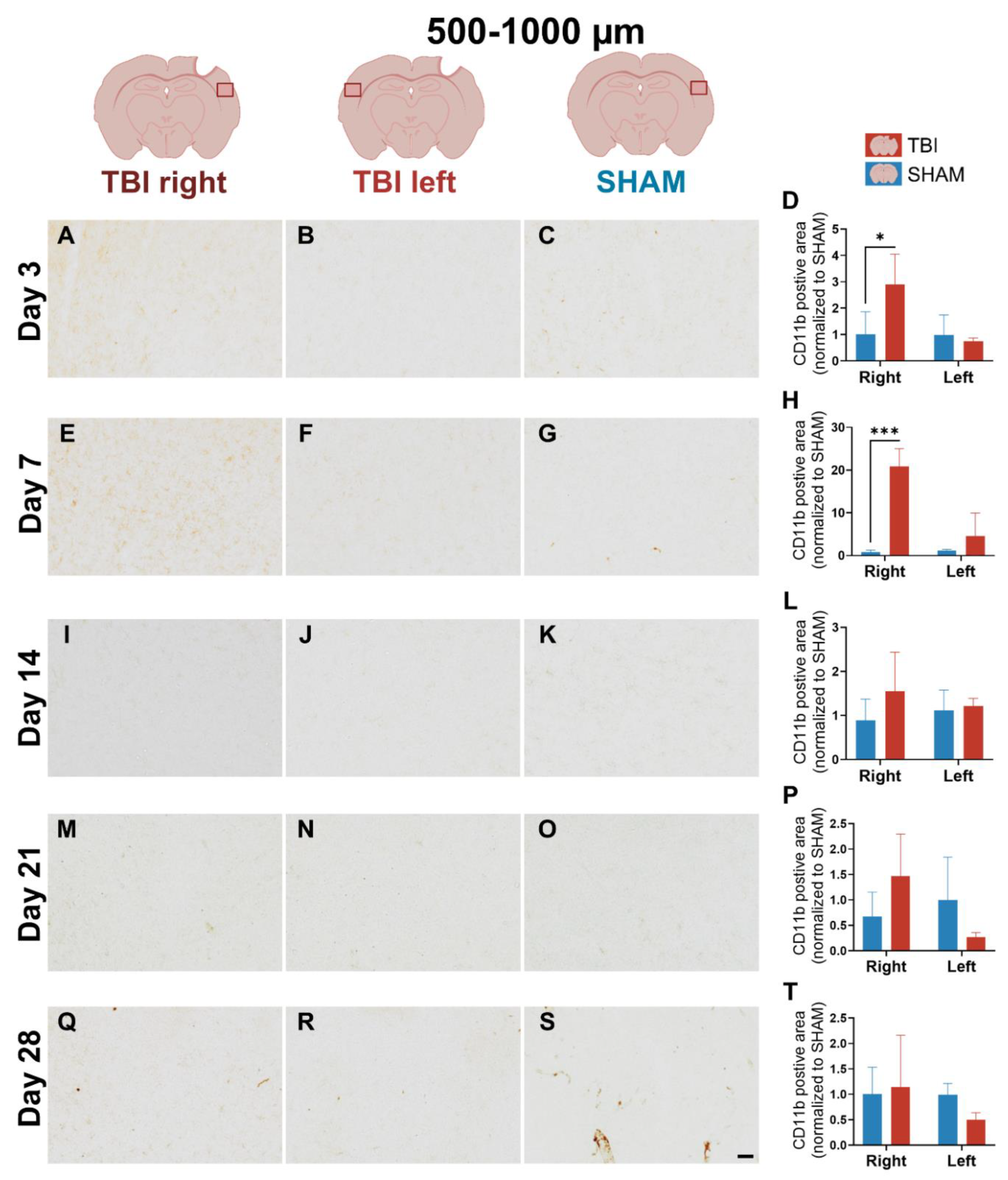 Preprints 187276 g004
