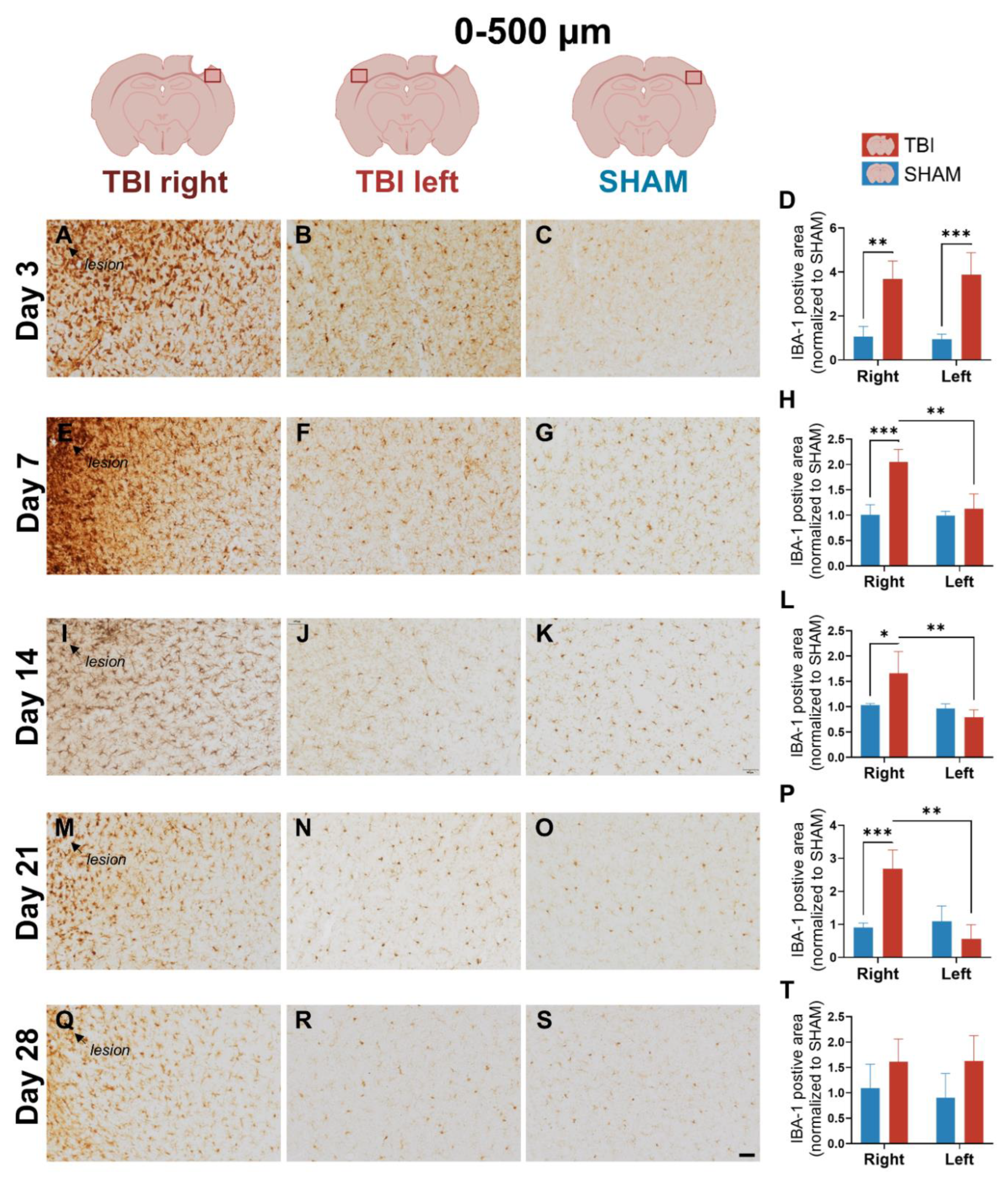 Preprints 187276 g005