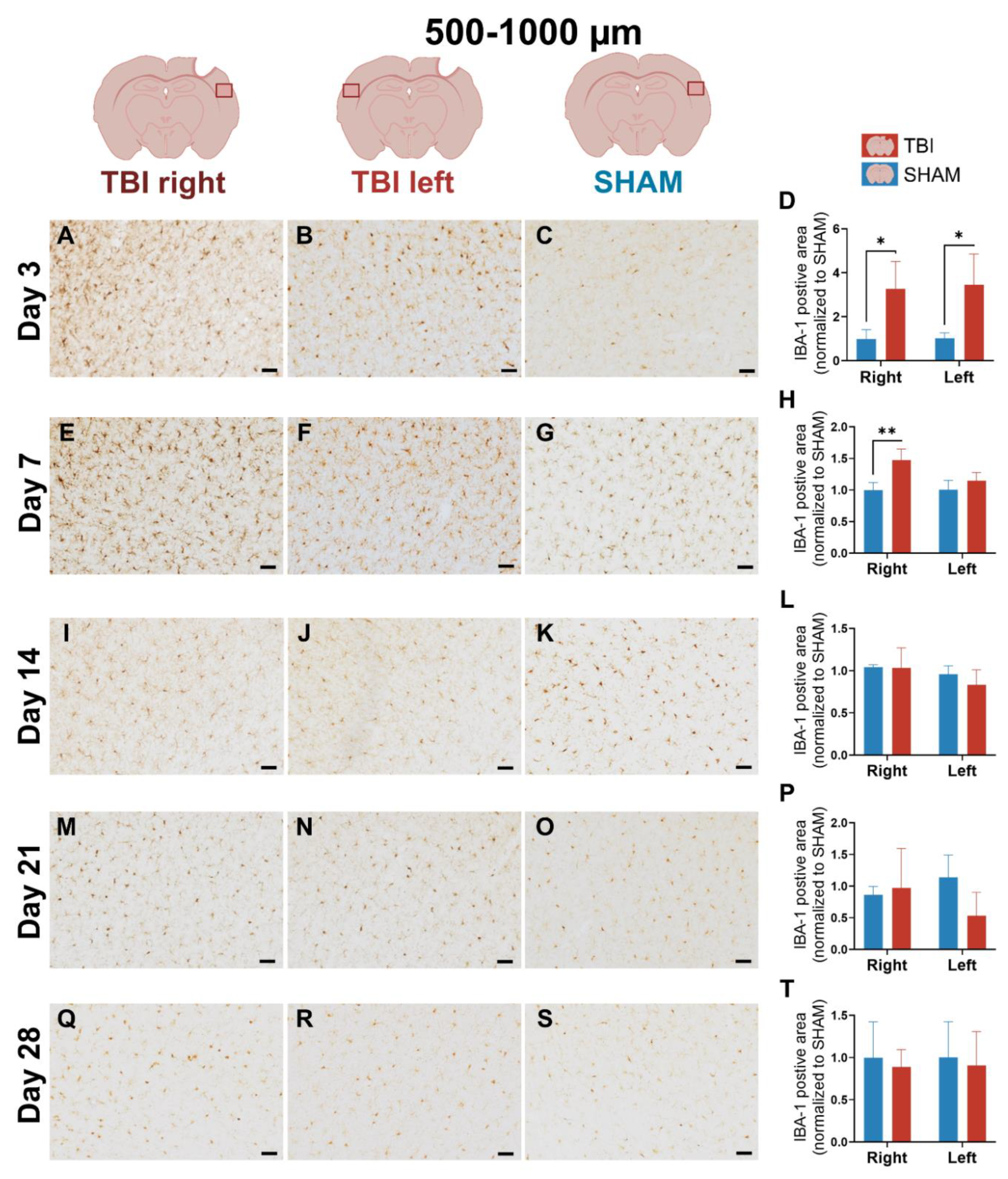 Preprints 187276 g006