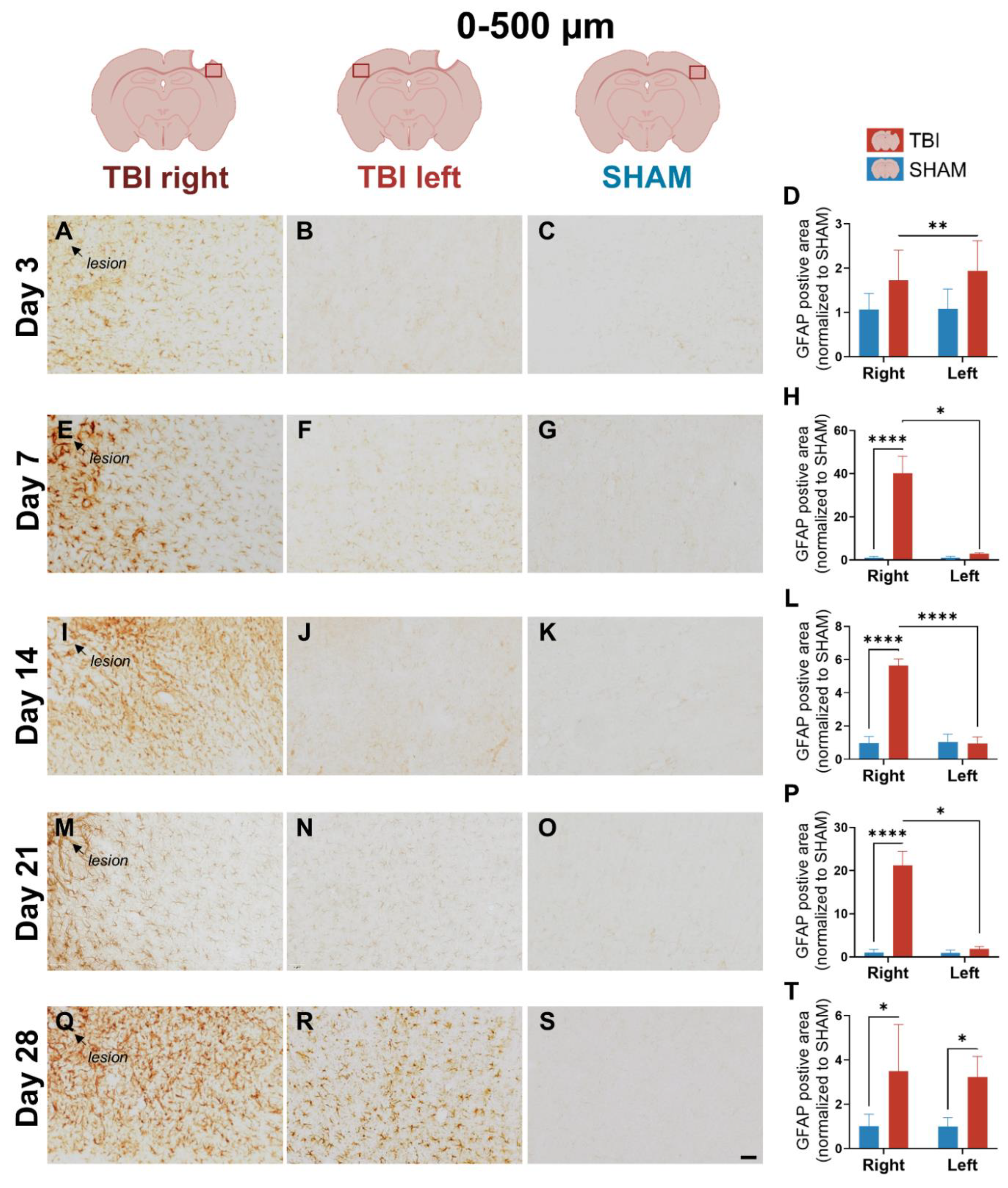 Preprints 187276 g007