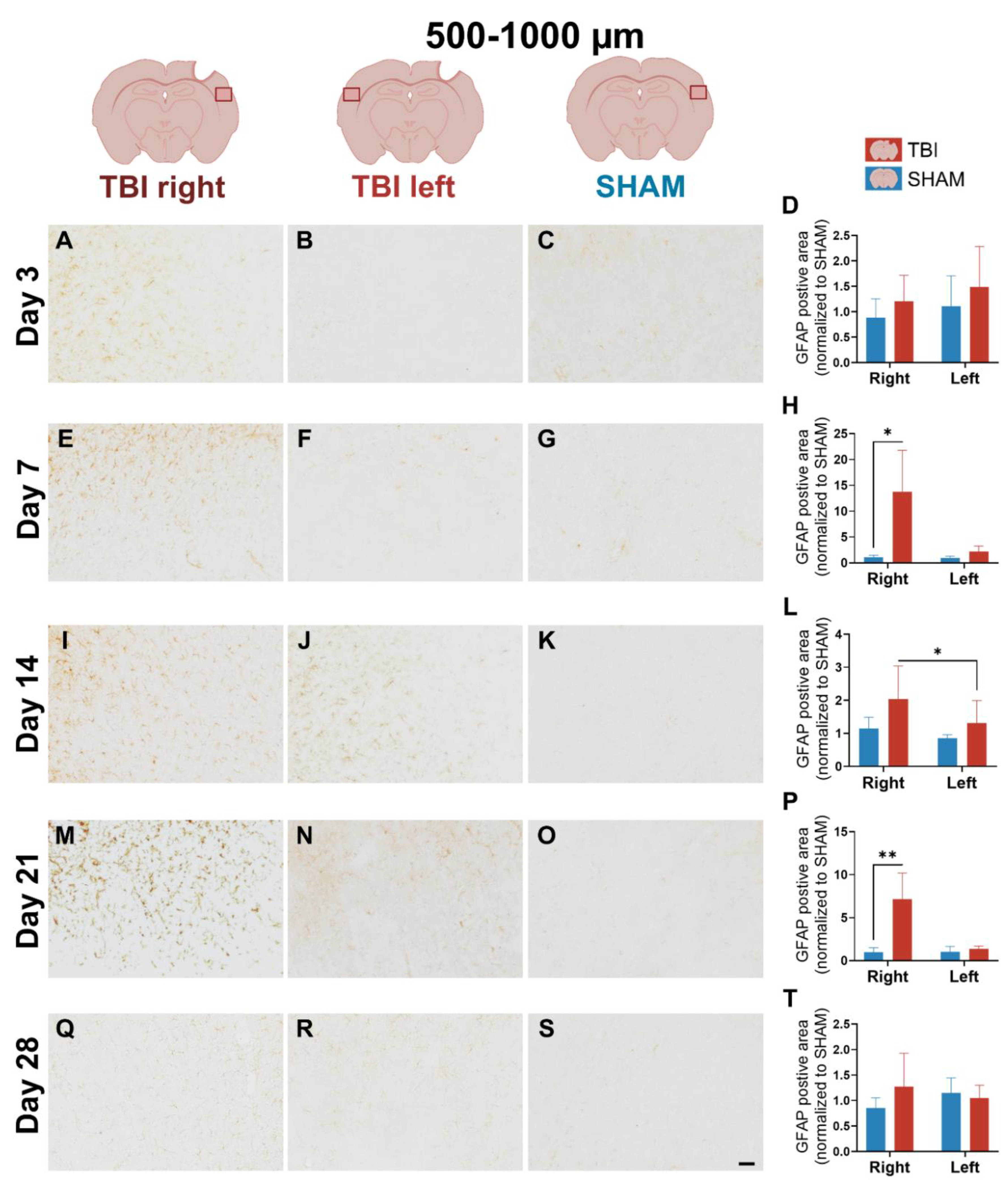 Preprints 187276 g008