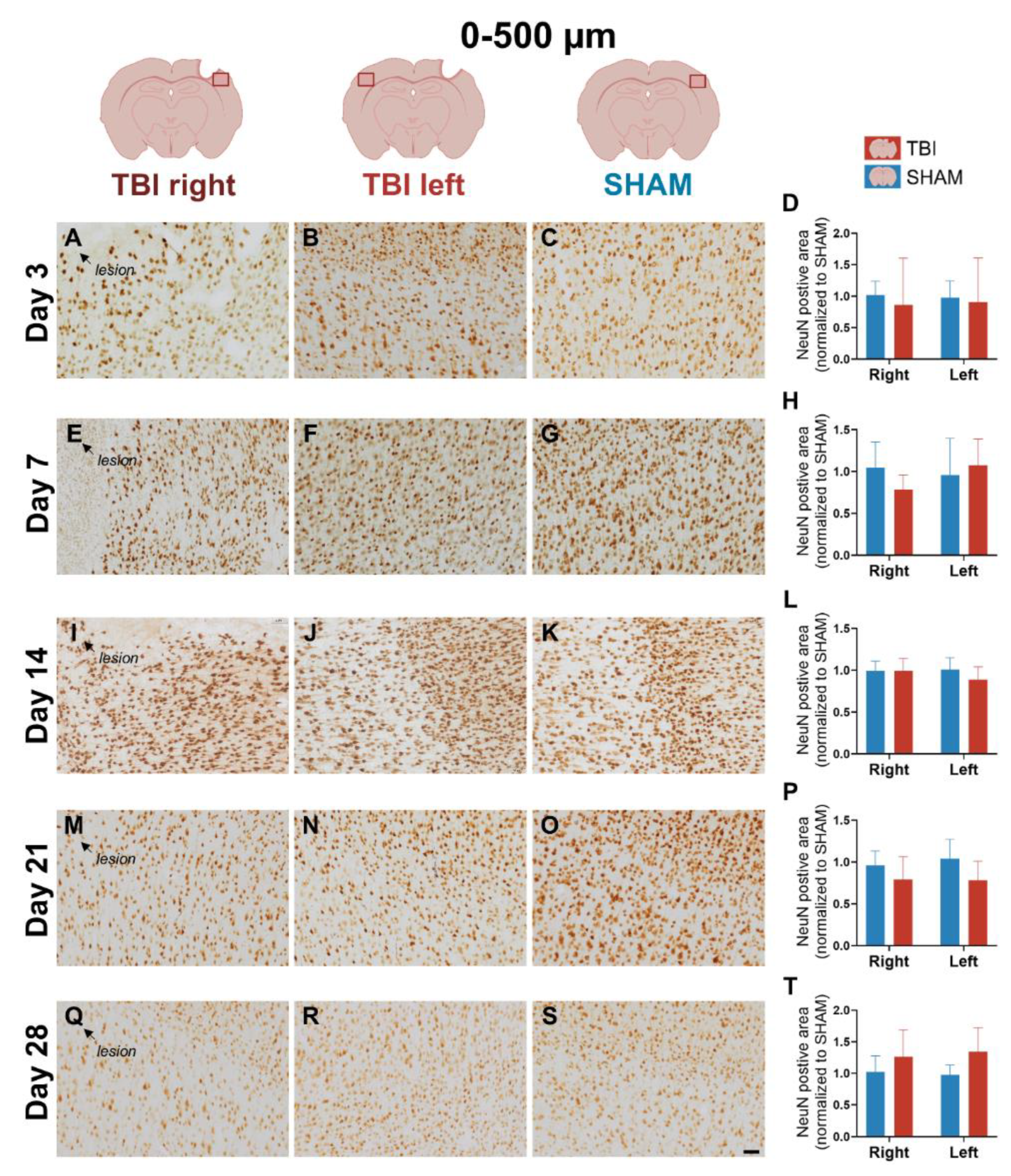 Preprints 187276 g009