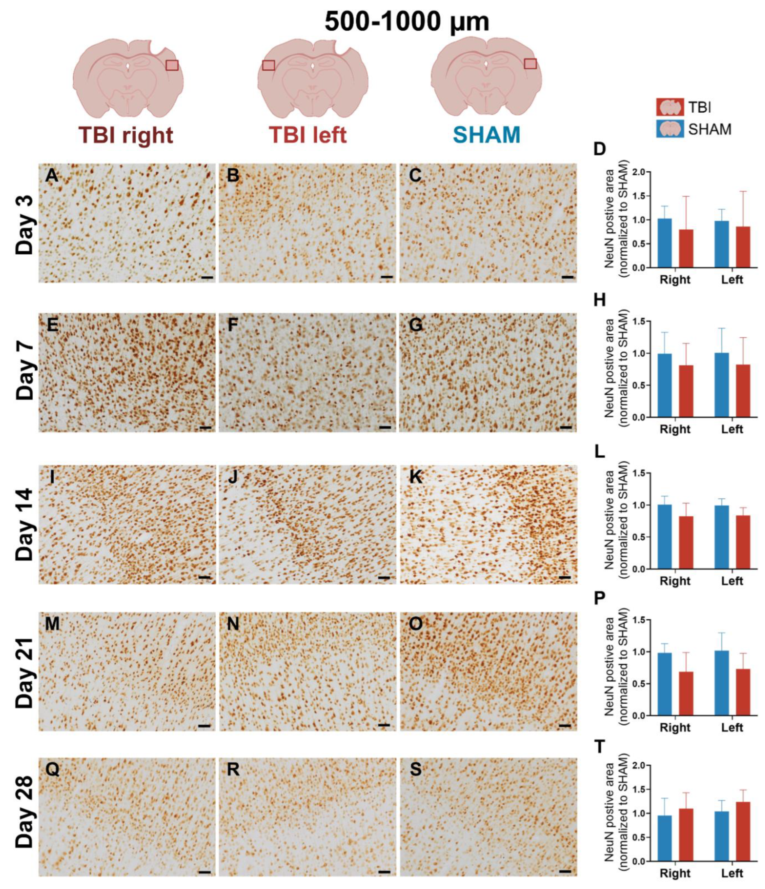 Preprints 187276 g010