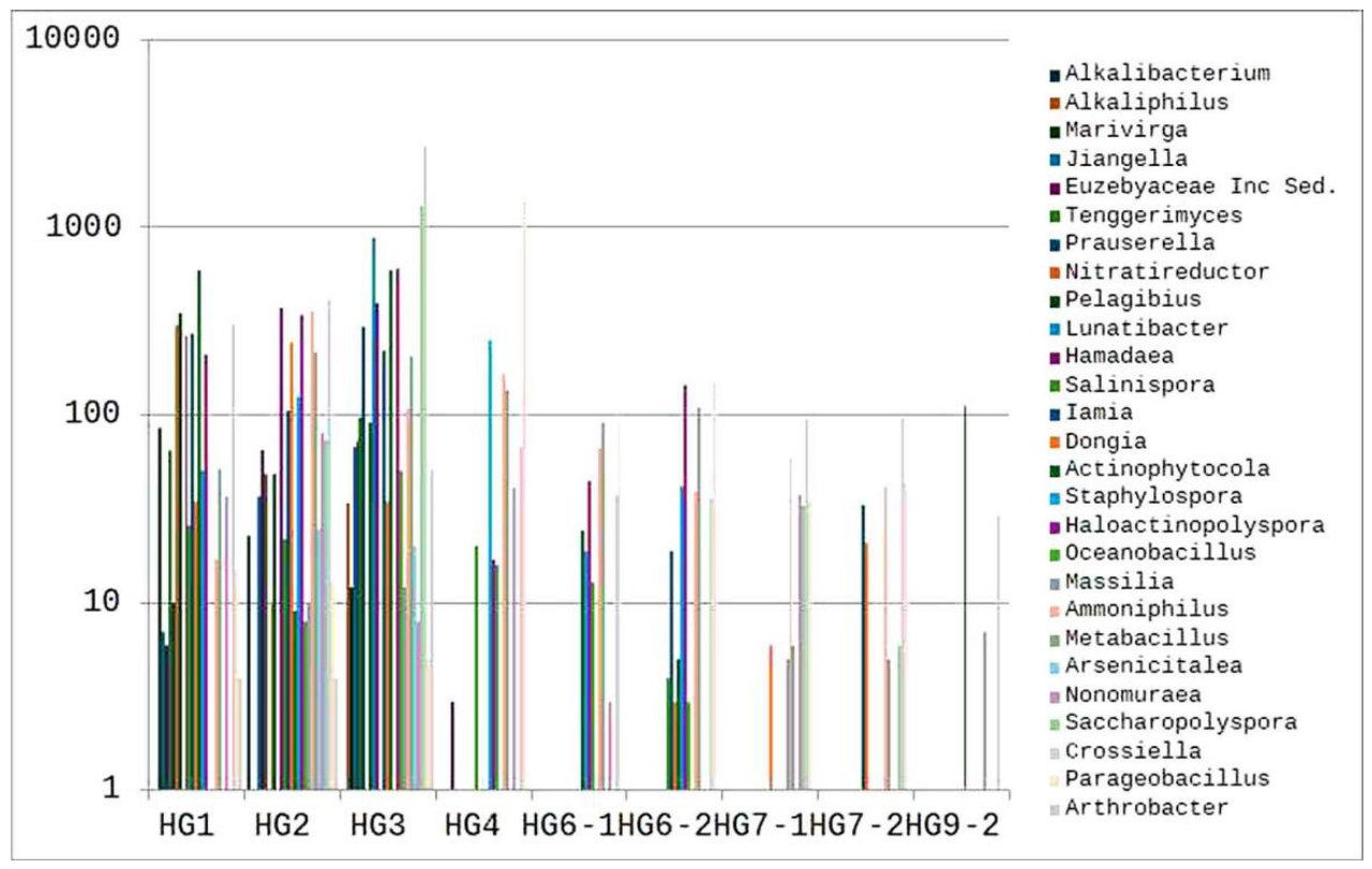Preprints 216124 g006 Preprints 216124 g006