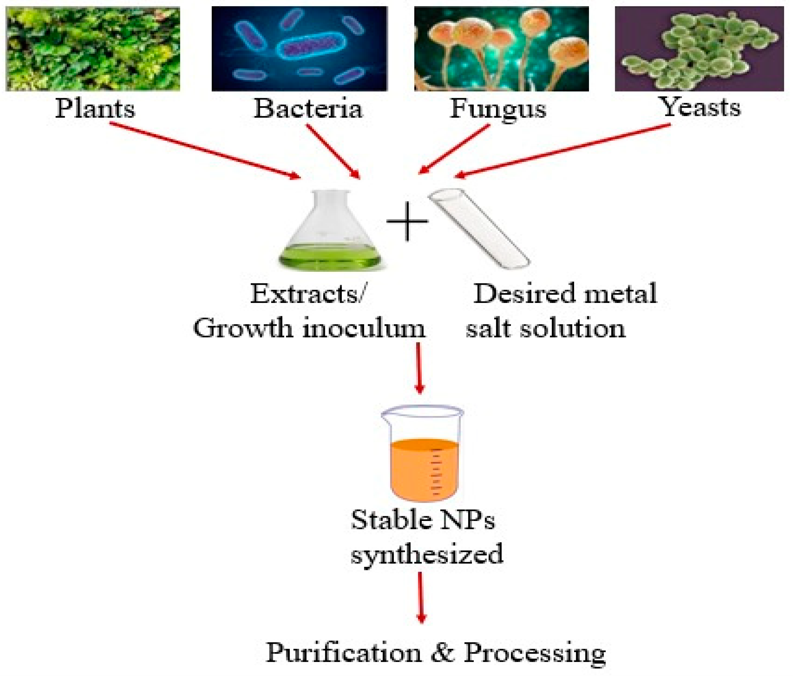 Preprints 91447 g001