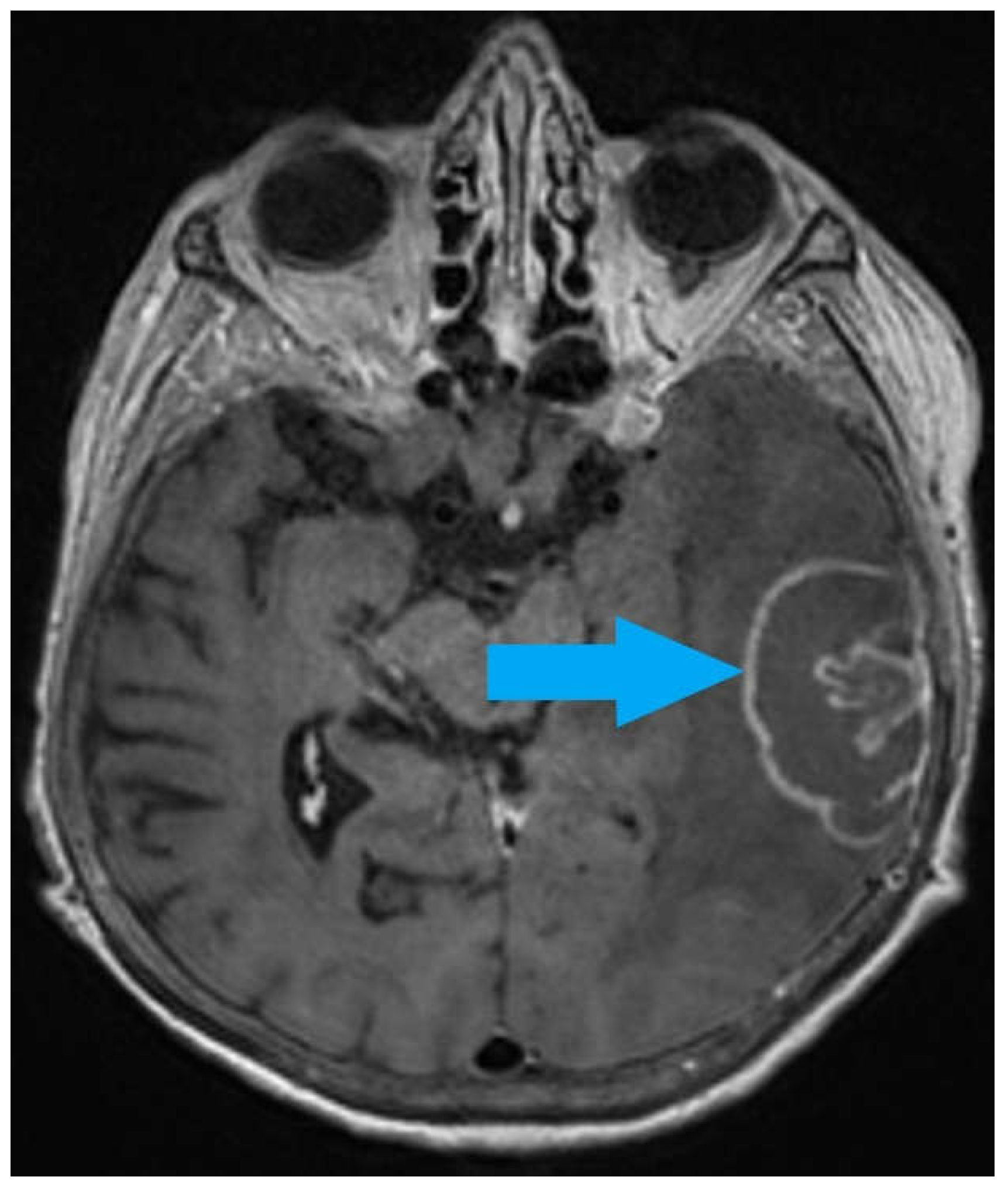 Preprints 199000 g001