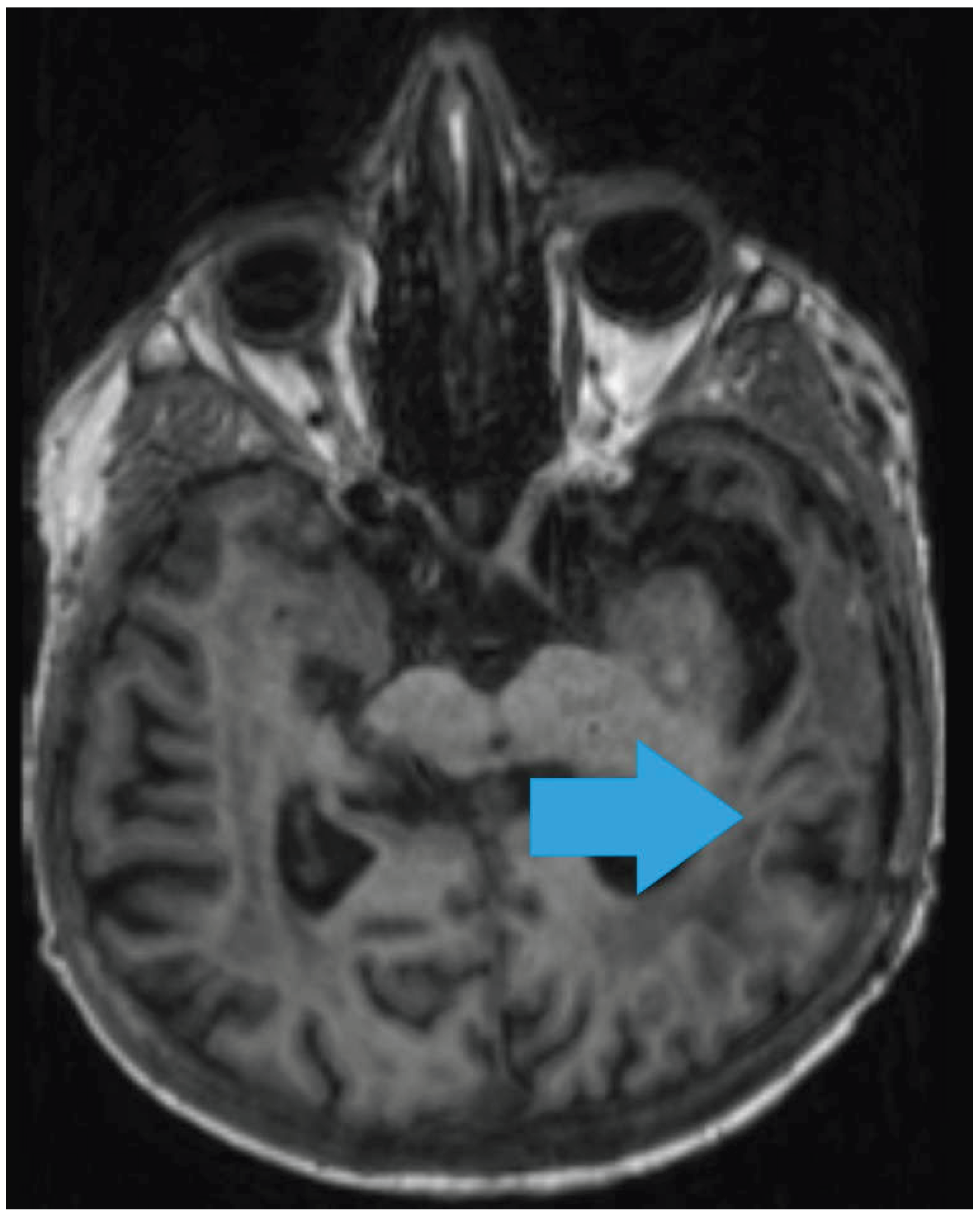 Preprints 199000 g003