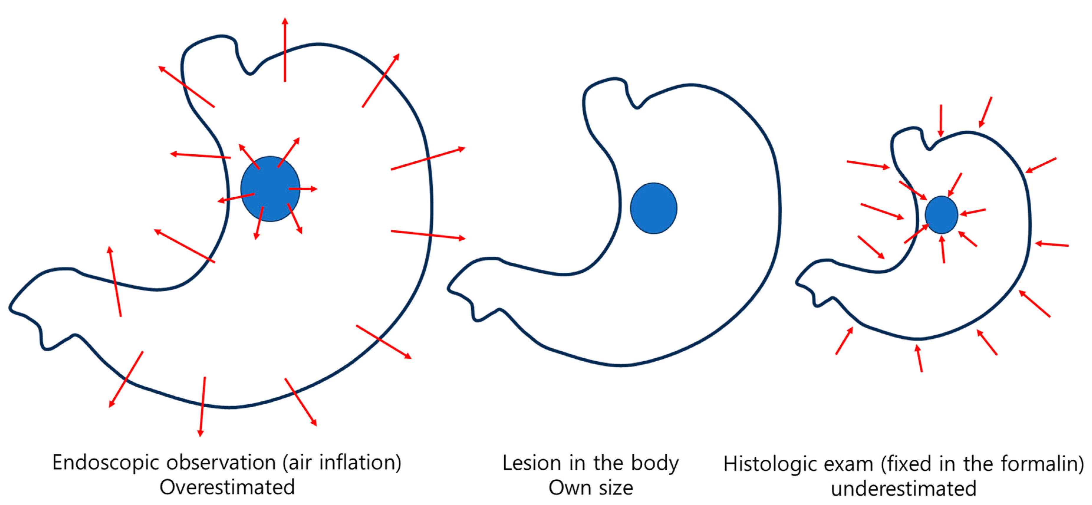 Preprints 146463 g003