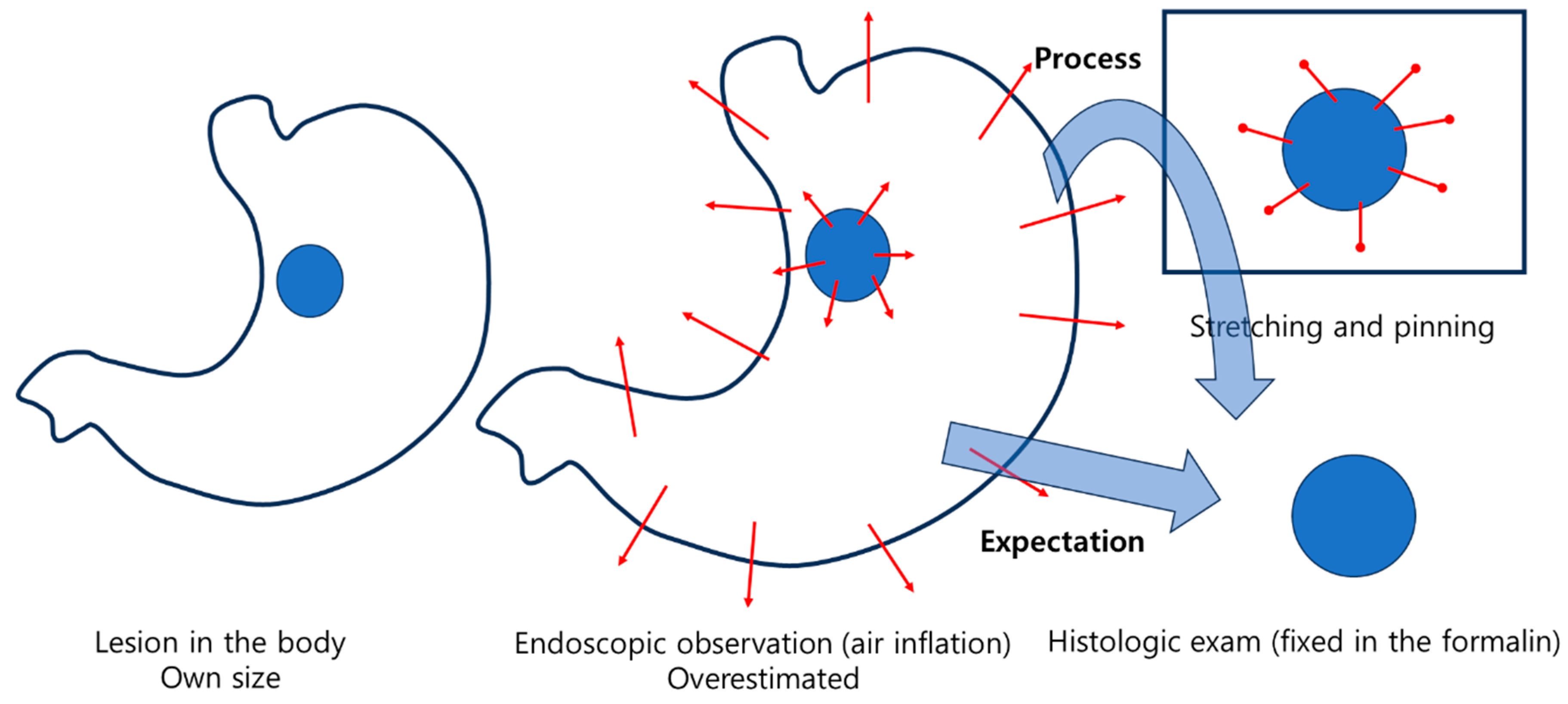 Preprints 146463 g004