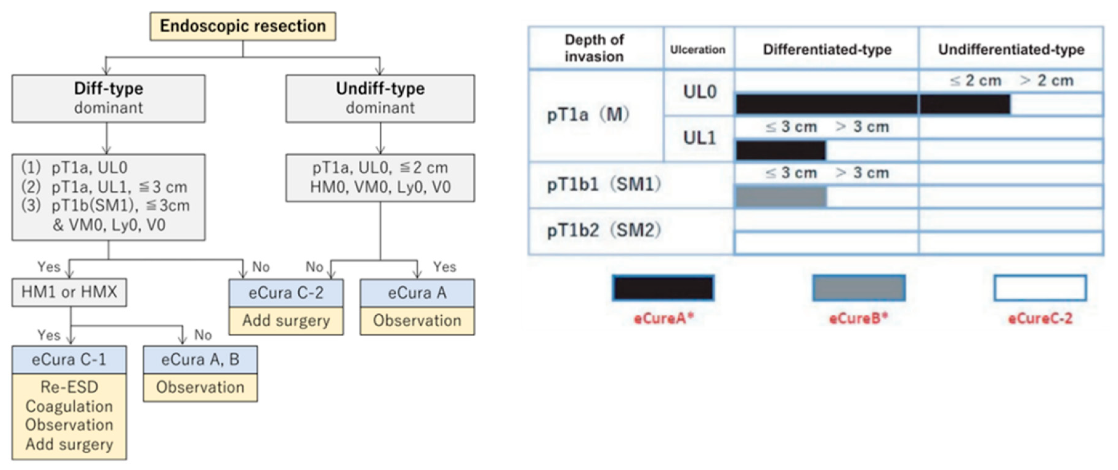 Preprints 146463 g005