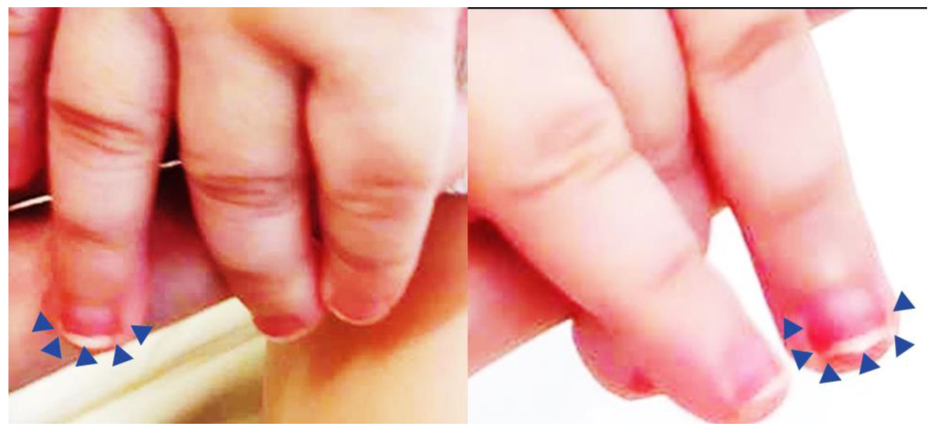 Preprints 71175 g001