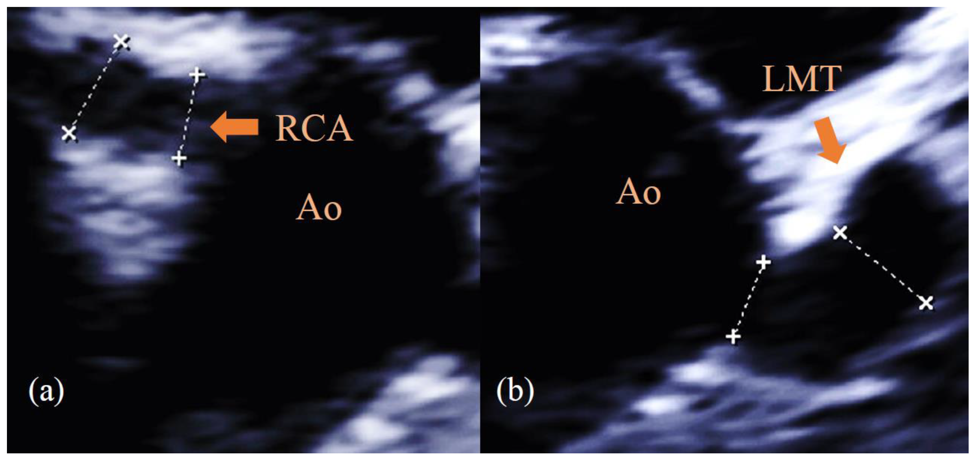 Preprints 71175 g002