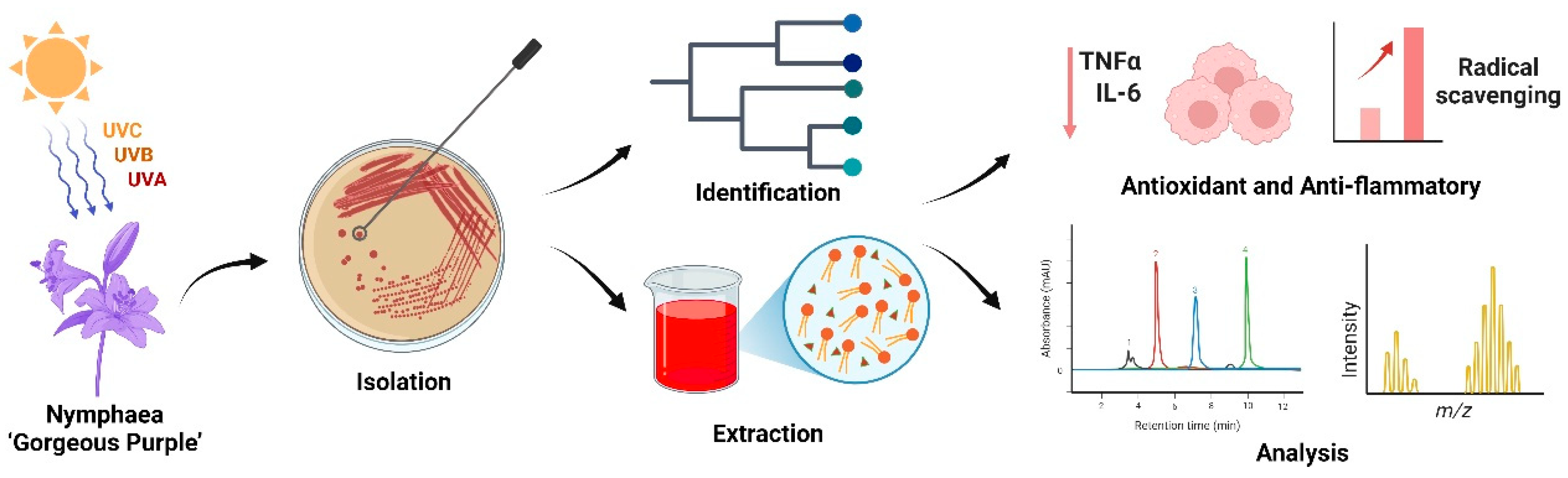 Preprints 184189 g001