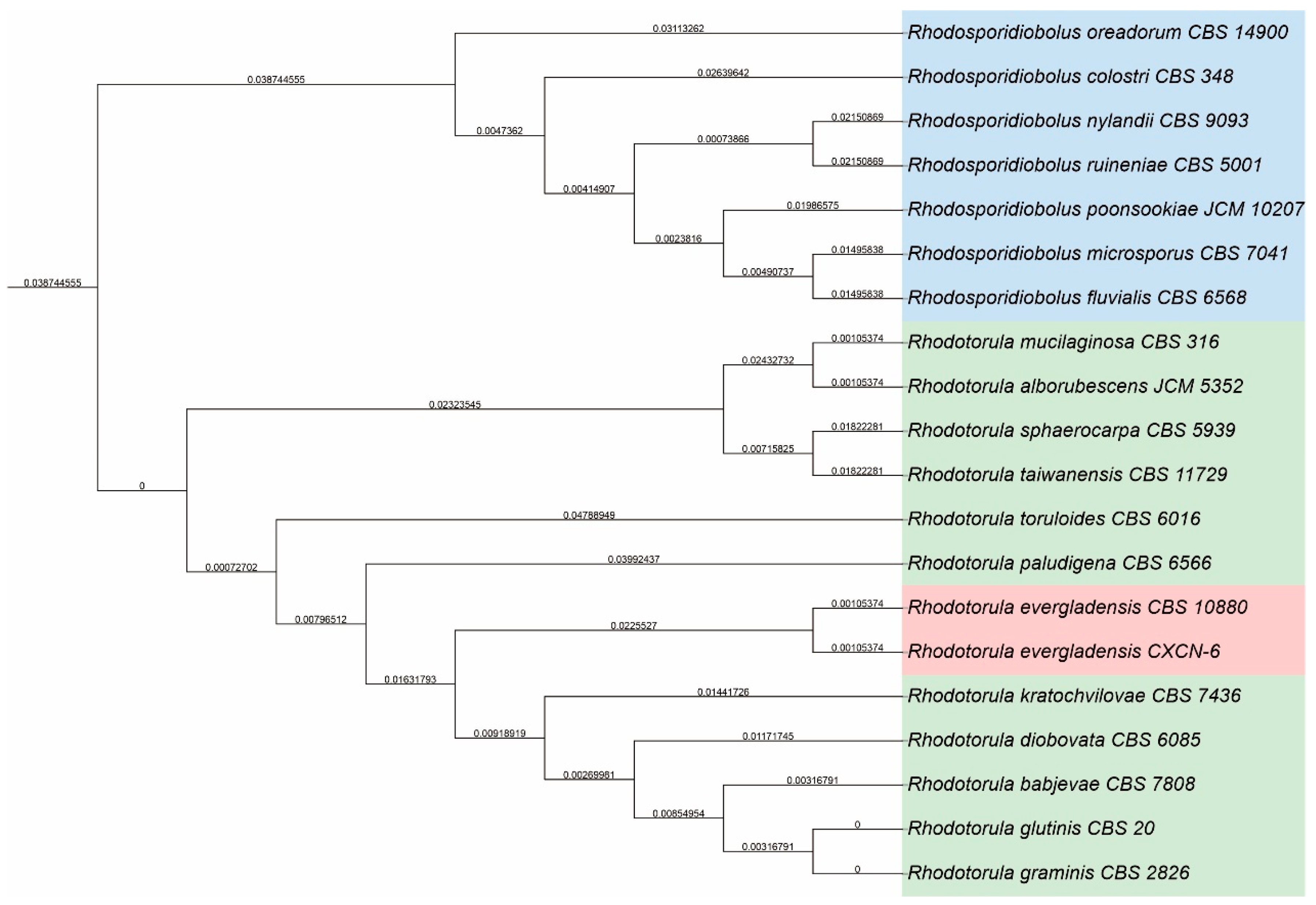 Preprints 184189 g002