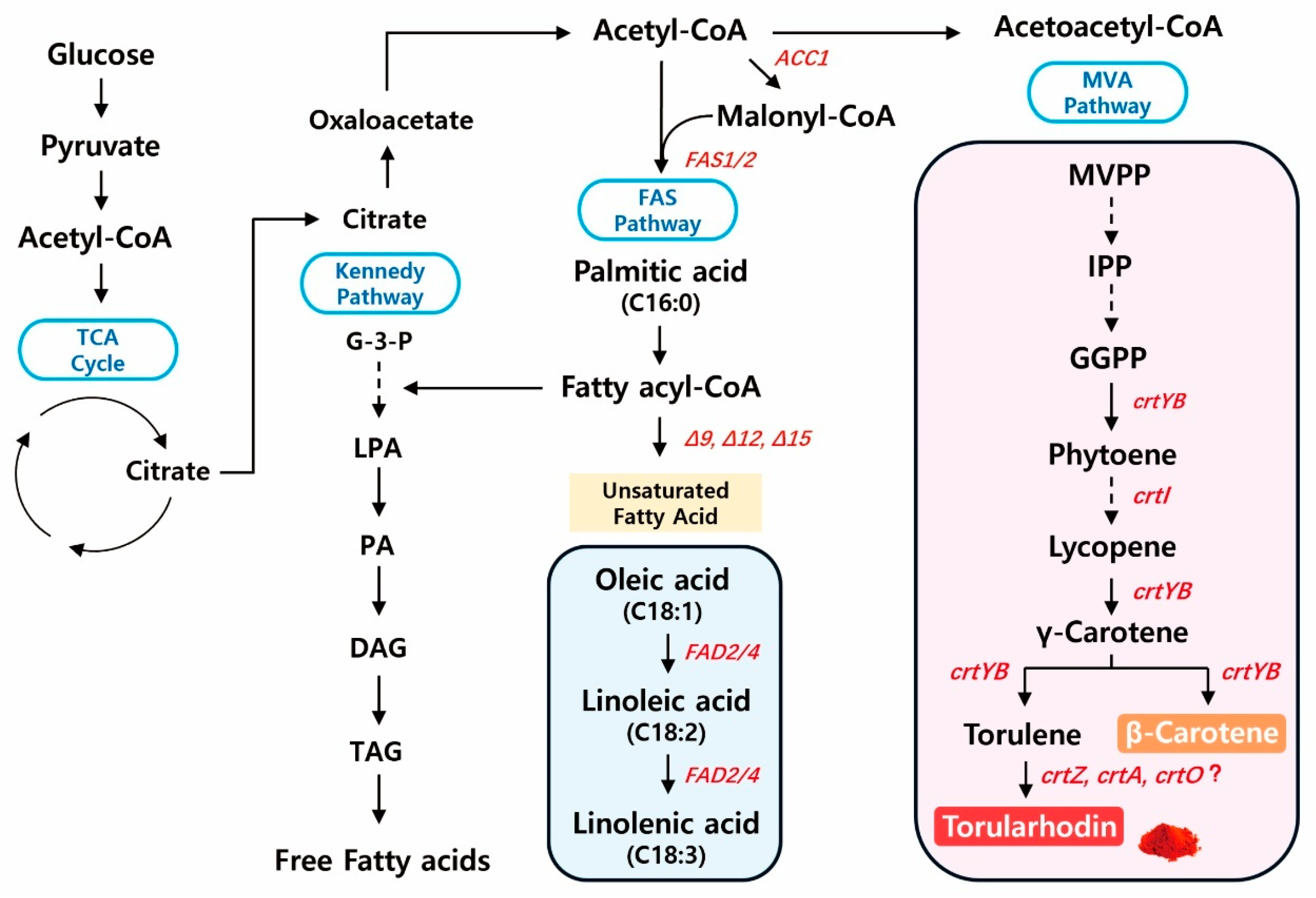 Preprints 184189 g003