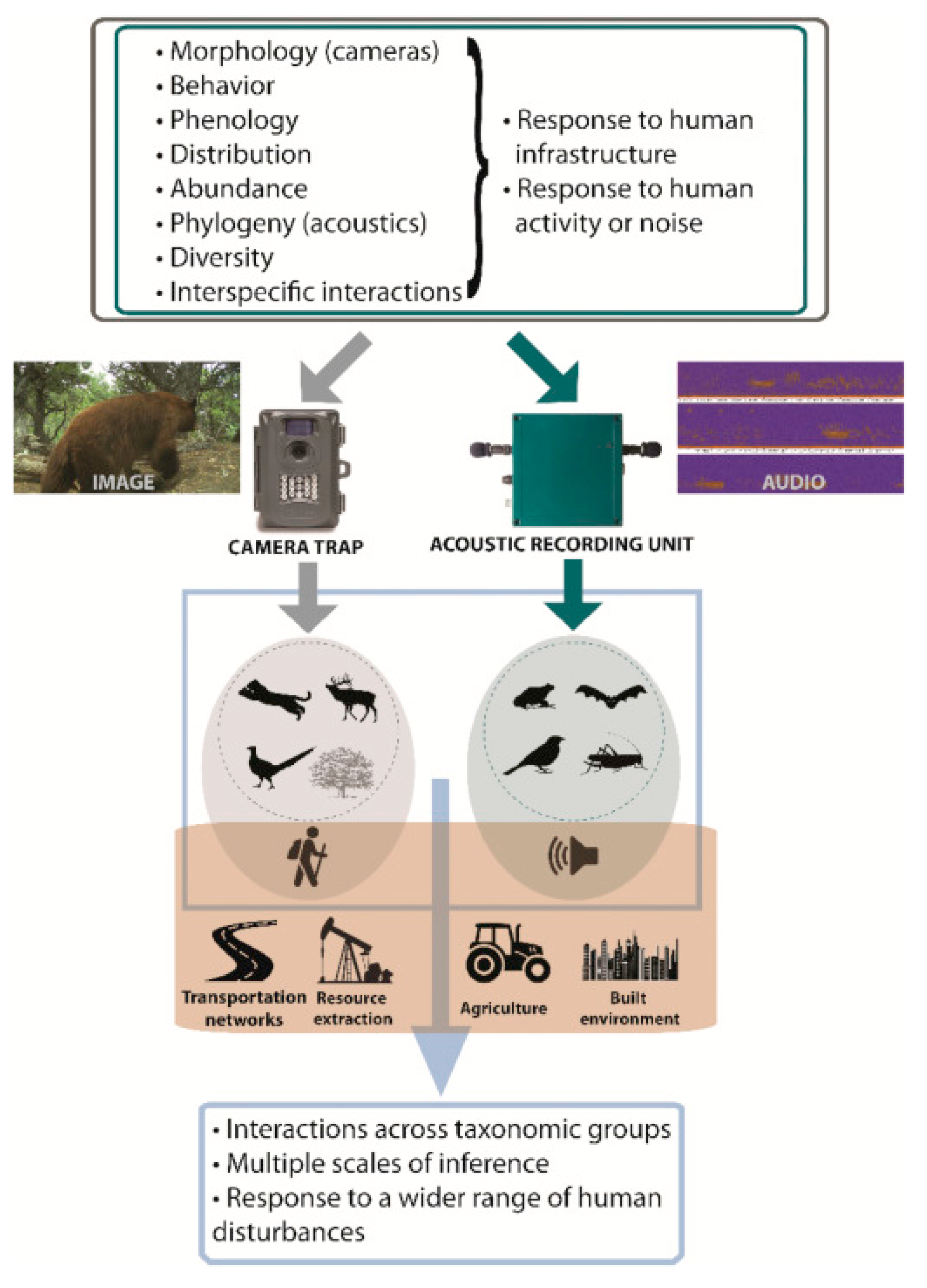 Preprints 177650 g006
