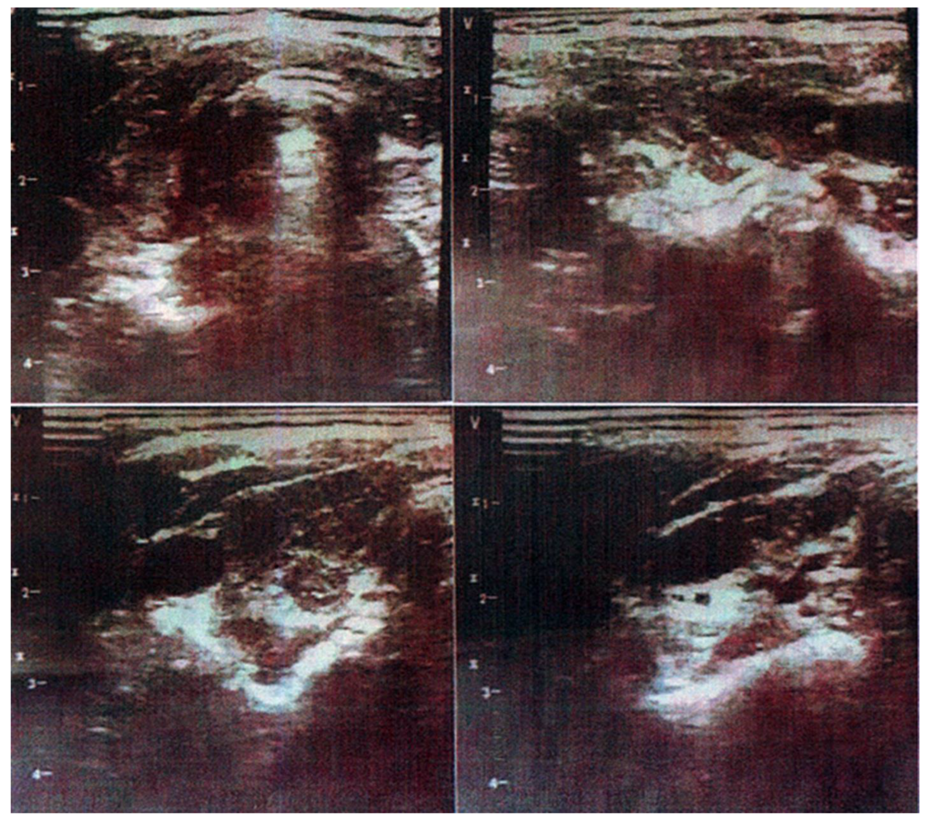 Preprints 161074 g001