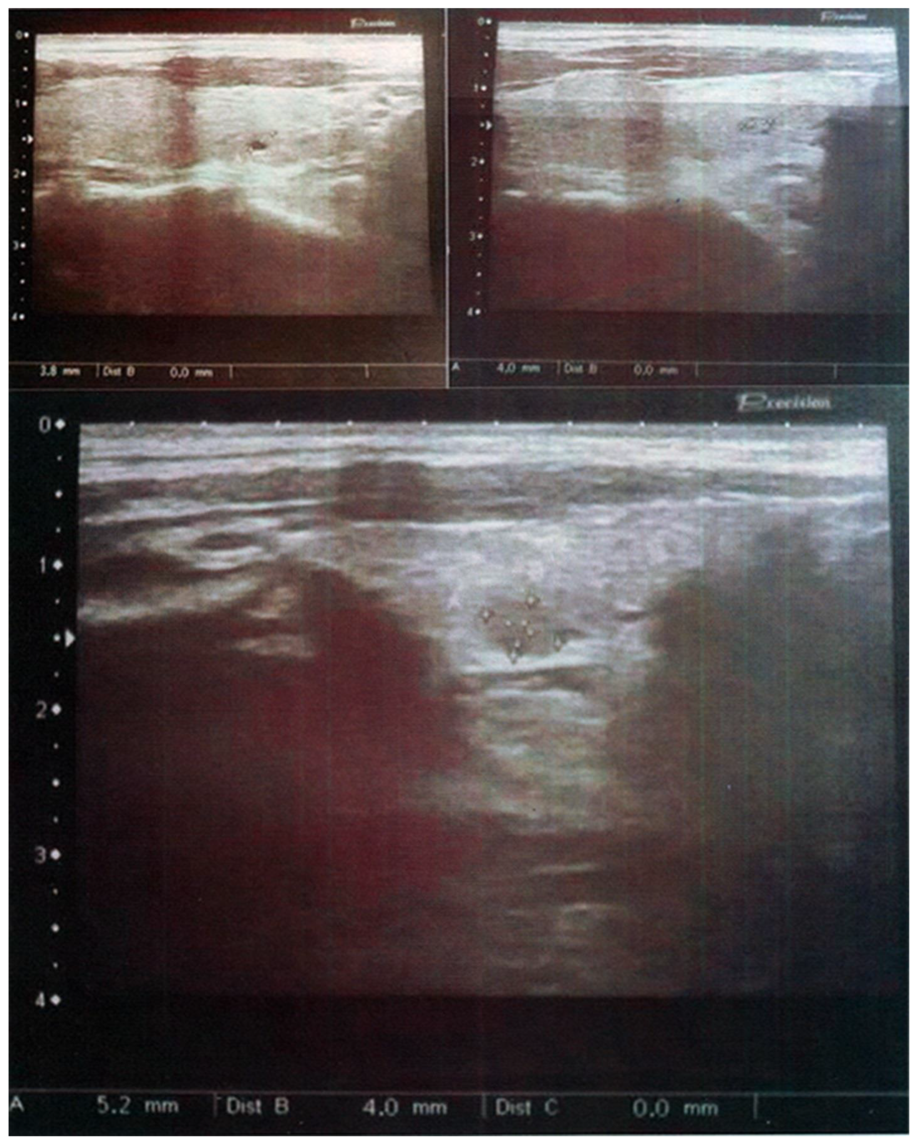 Preprints 161074 g002
