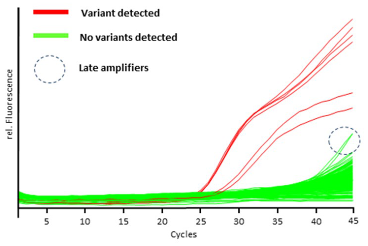 Preprints 231192 g001