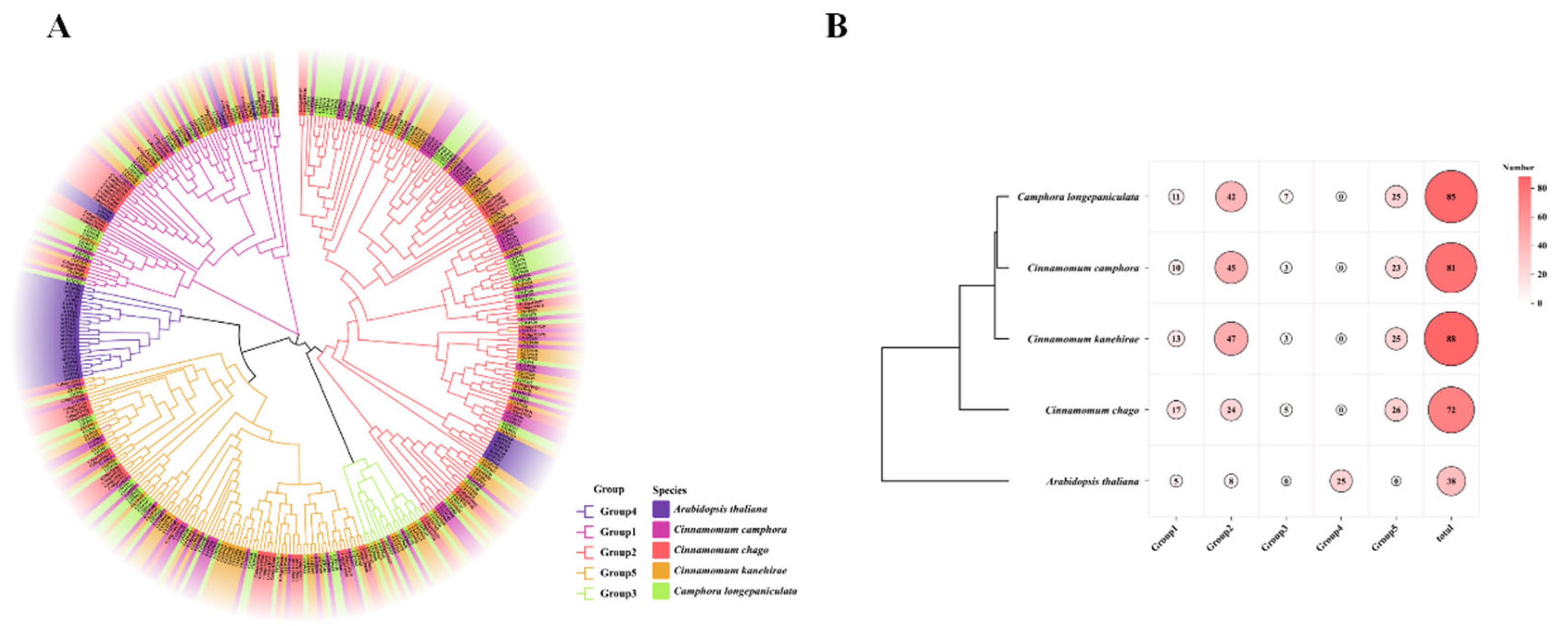 Preprints 138114 g002