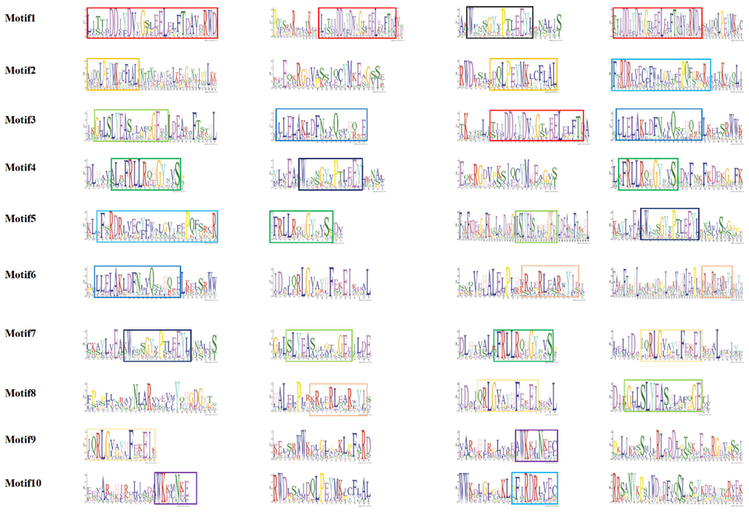 Preprints 138114 g003