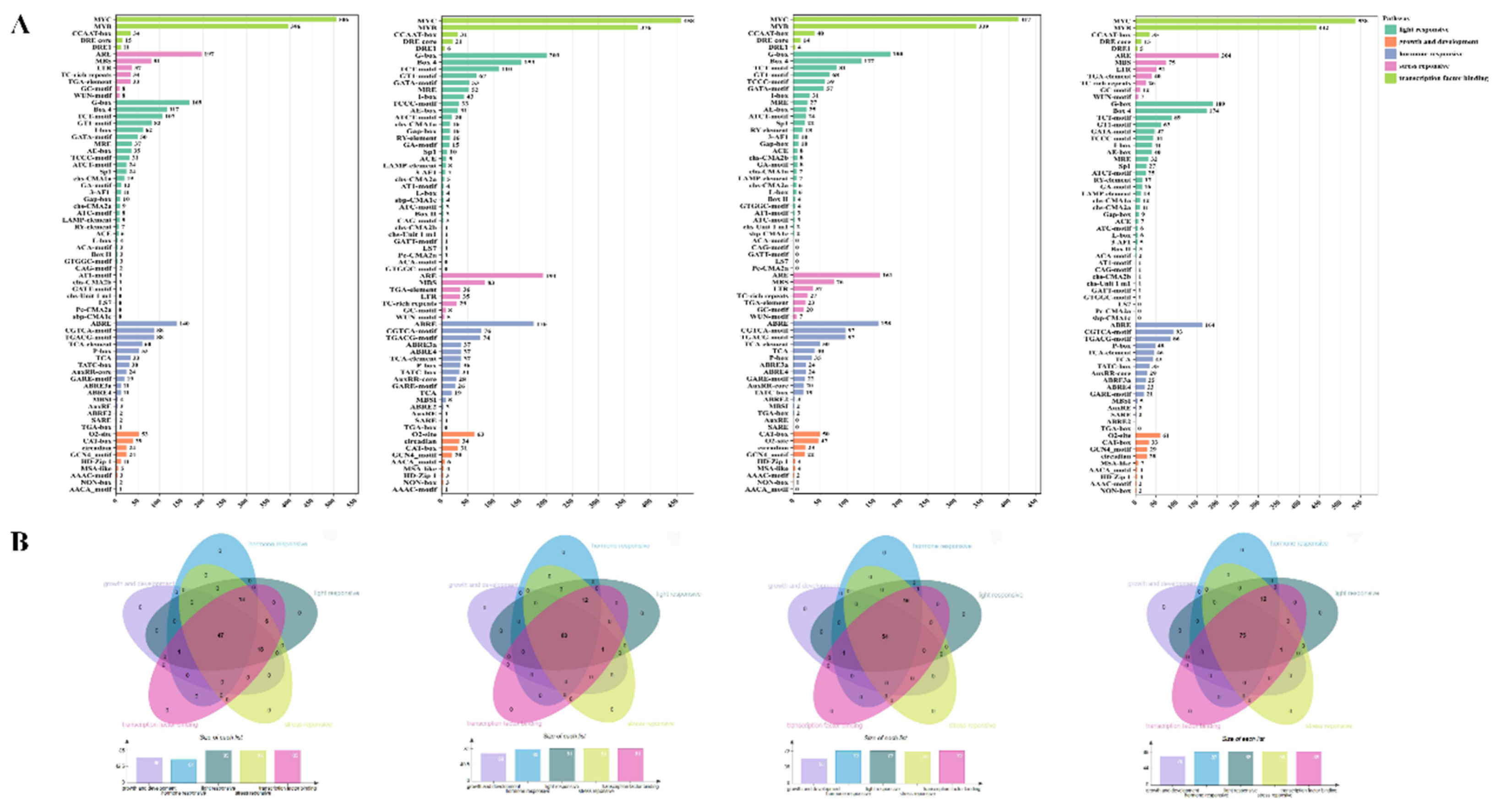 Preprints 138114 g004