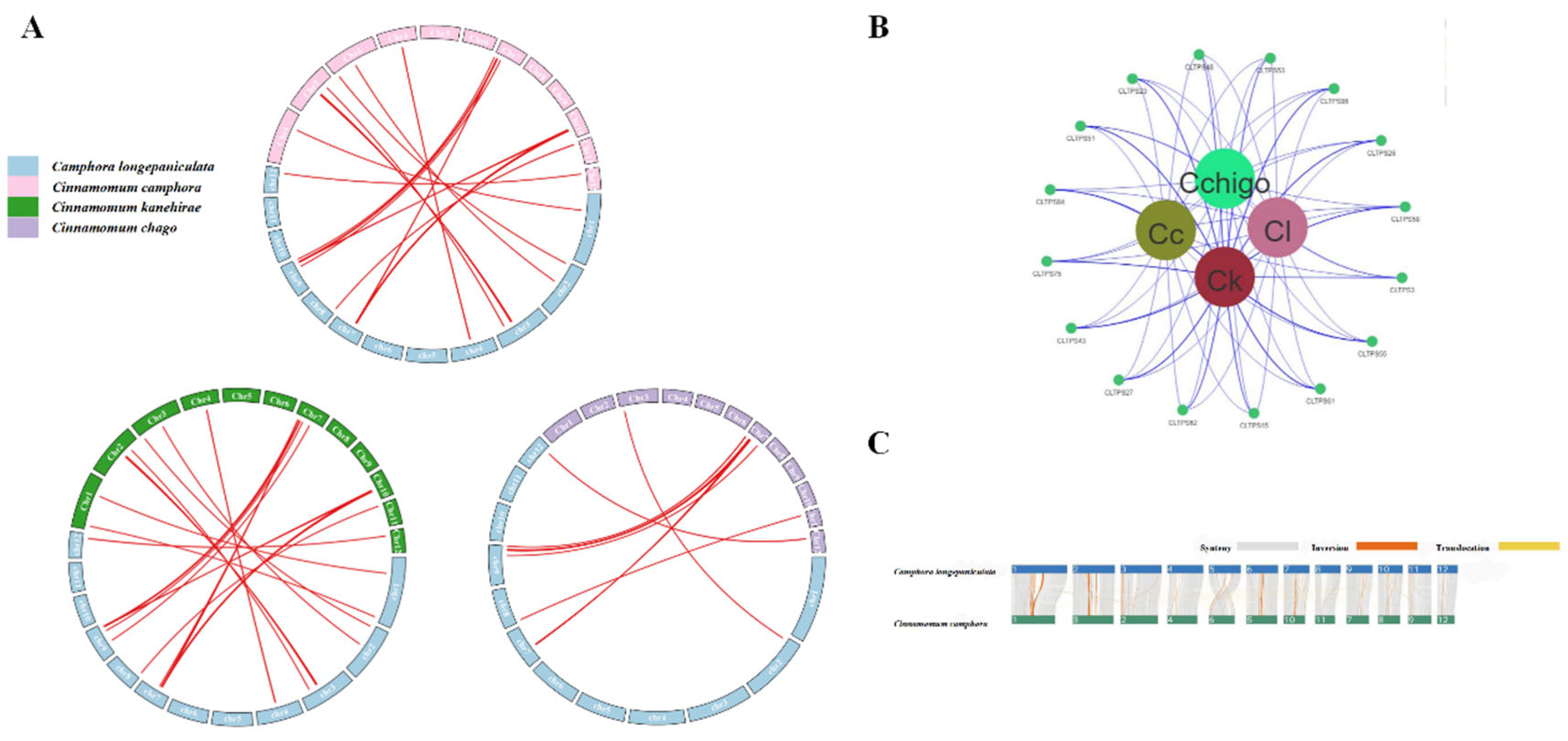 Preprints 138114 g006