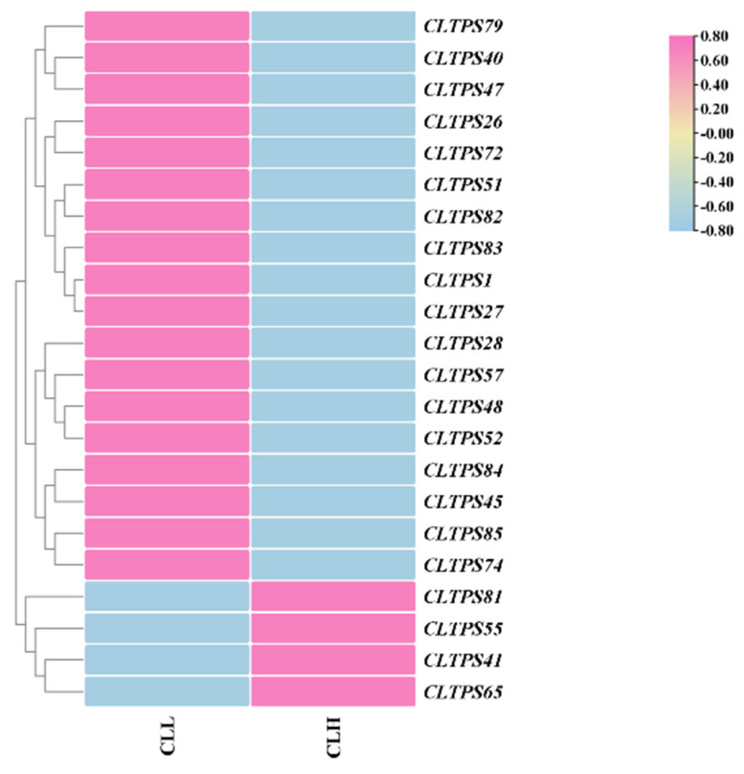 Preprints 138114 g009