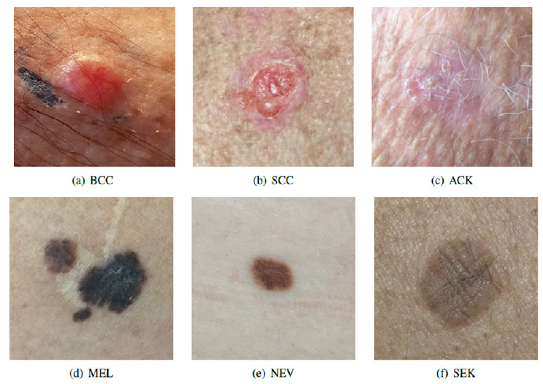 Preprints 177370 g001