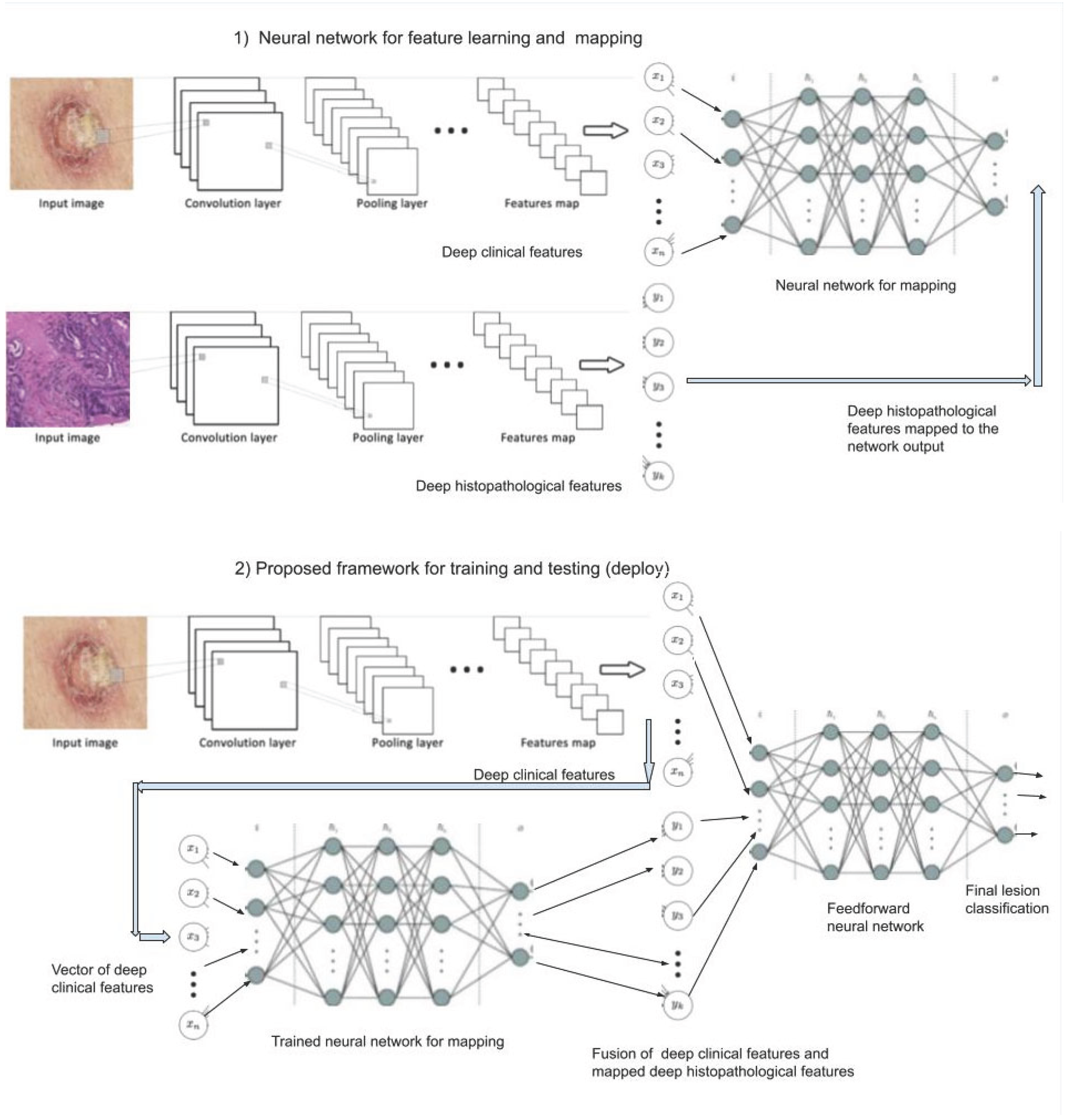 Preprints 177370 g002