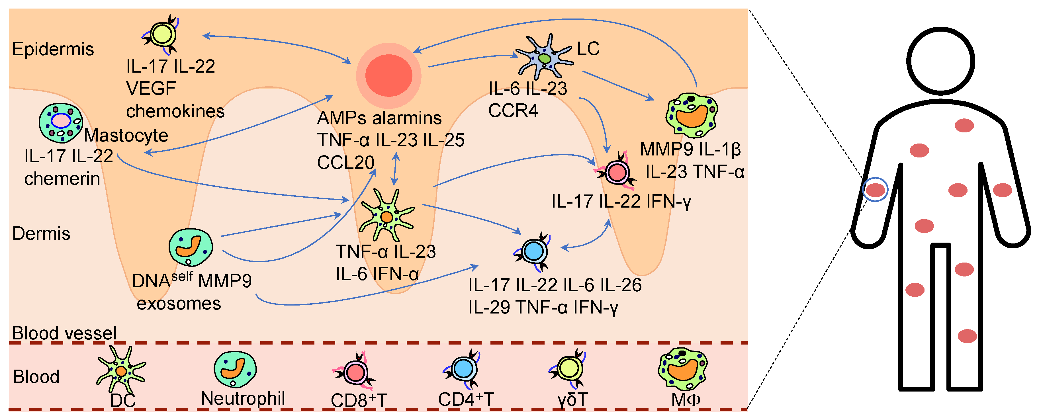 Preprints 173698 g001