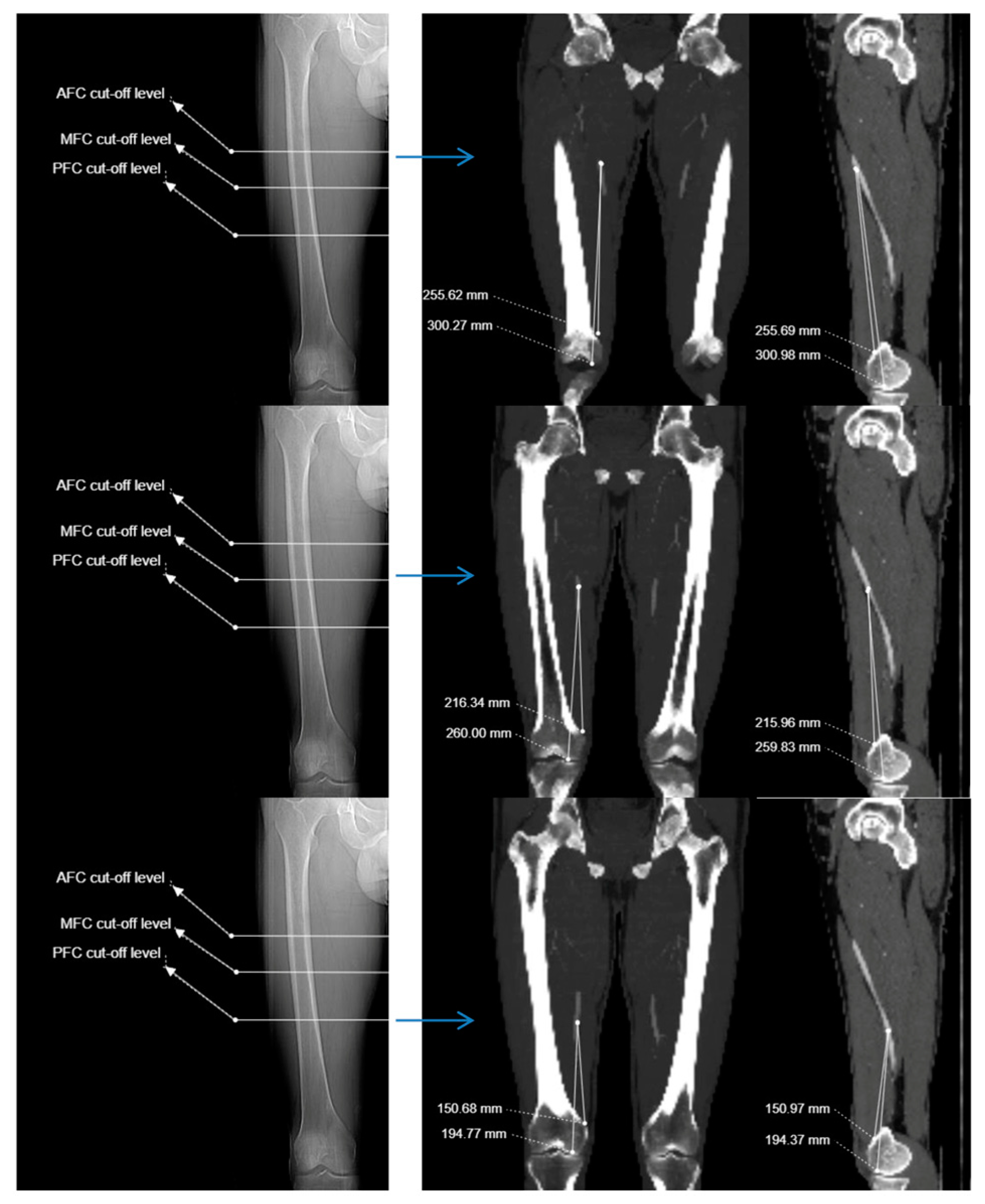 Preprints 148126 g004