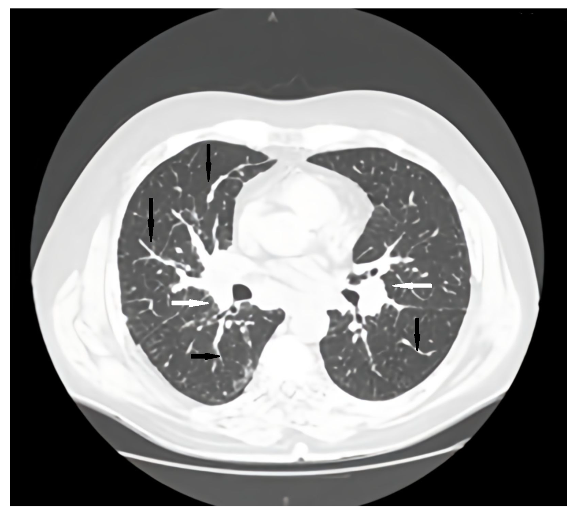 Preprints 187886 g001
