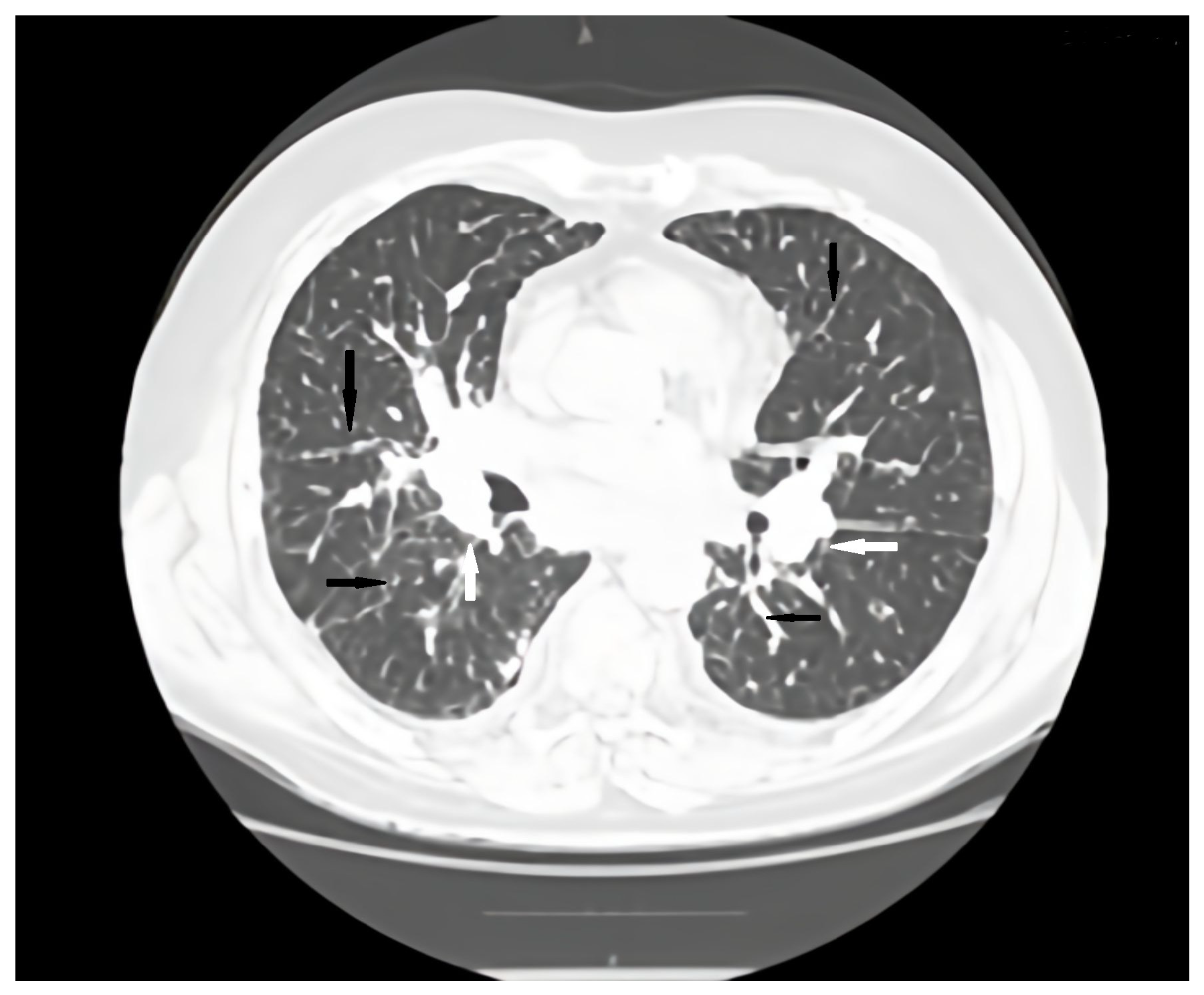 Preprints 187886 g002