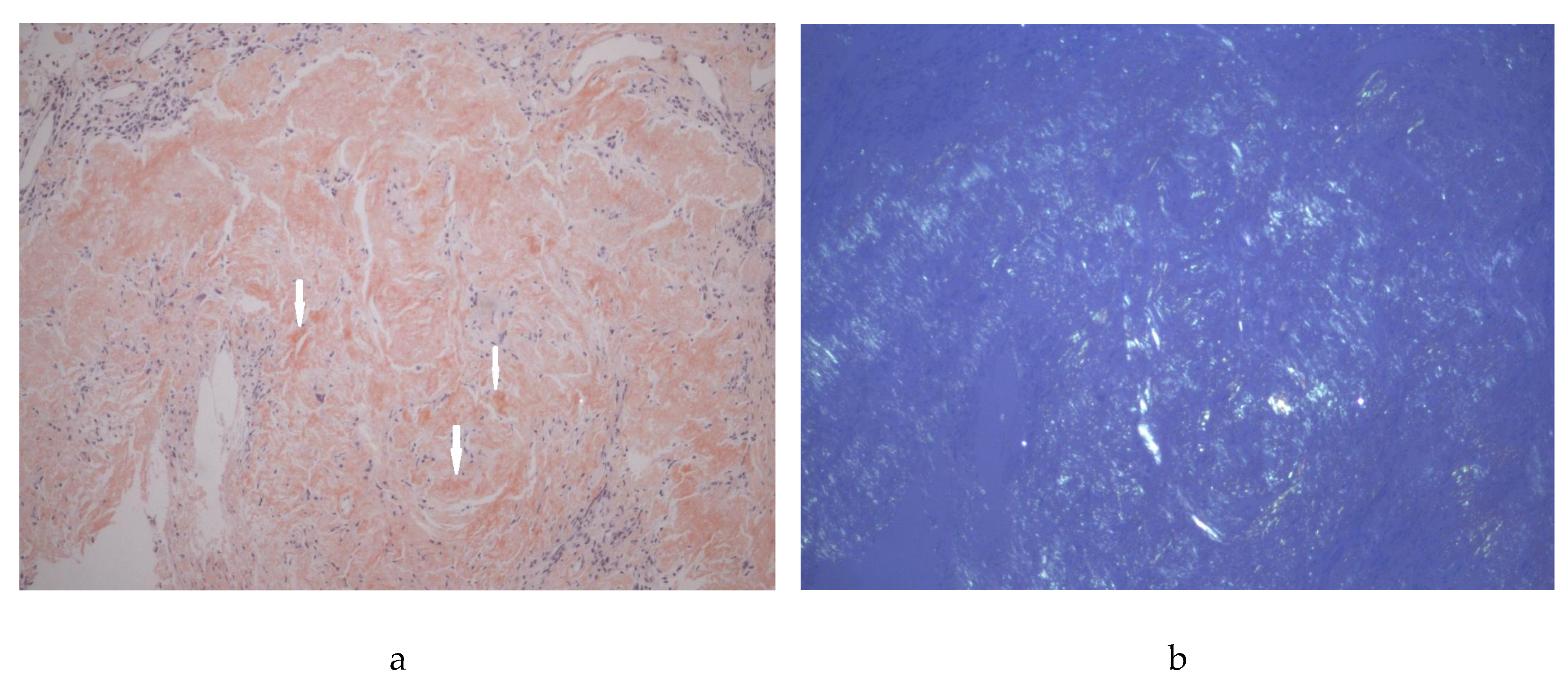 Preprints 187886 g003