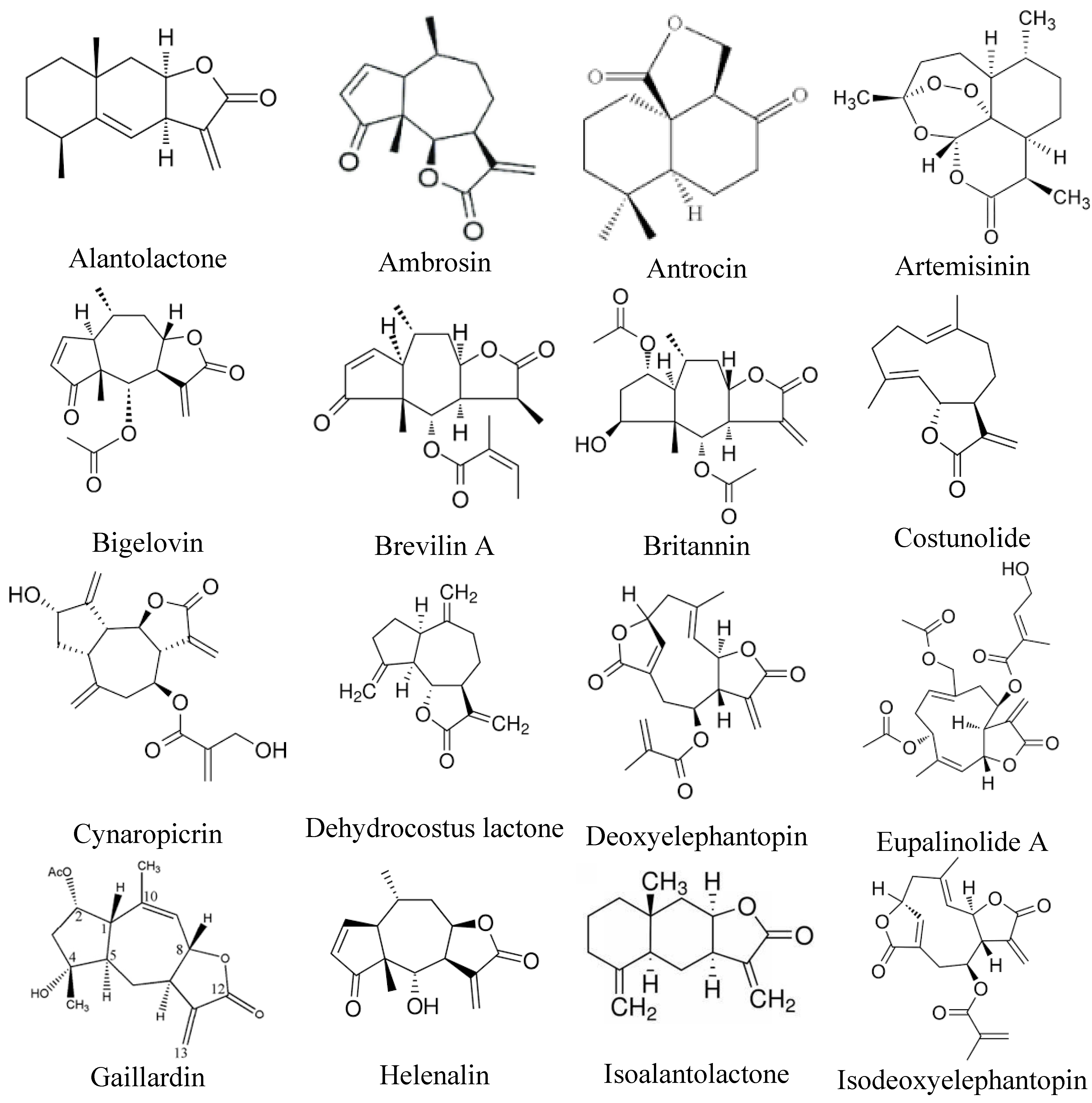 Preprints 147028 g002a